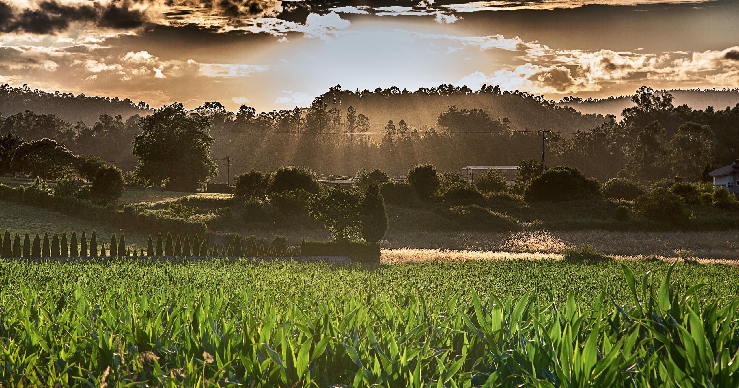 Испания, 2017, Путь Сантьяго из Сен-Жан-Пье-де-По. Творческие сьемки