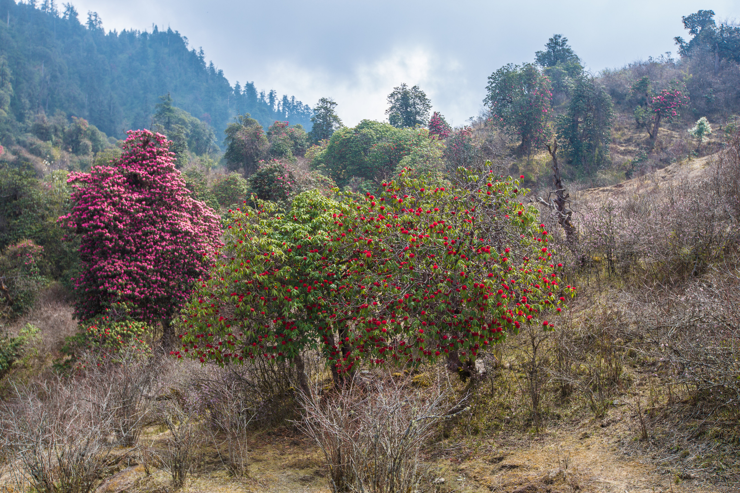 Непал. Творческие сьемки