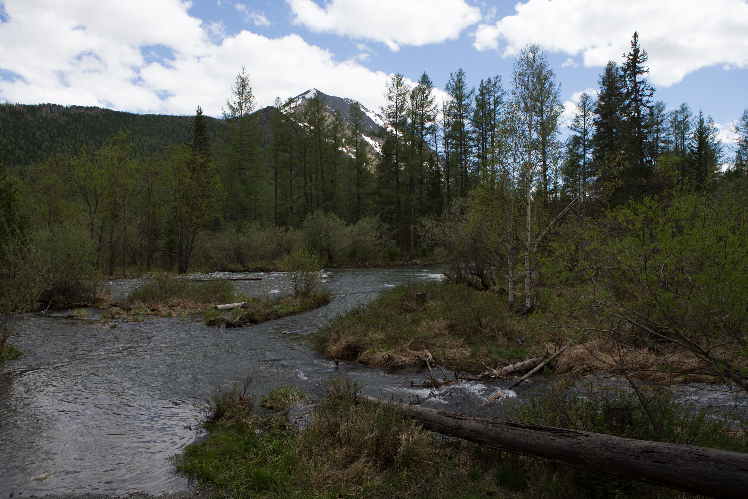 Алтай. Творческие сьемки