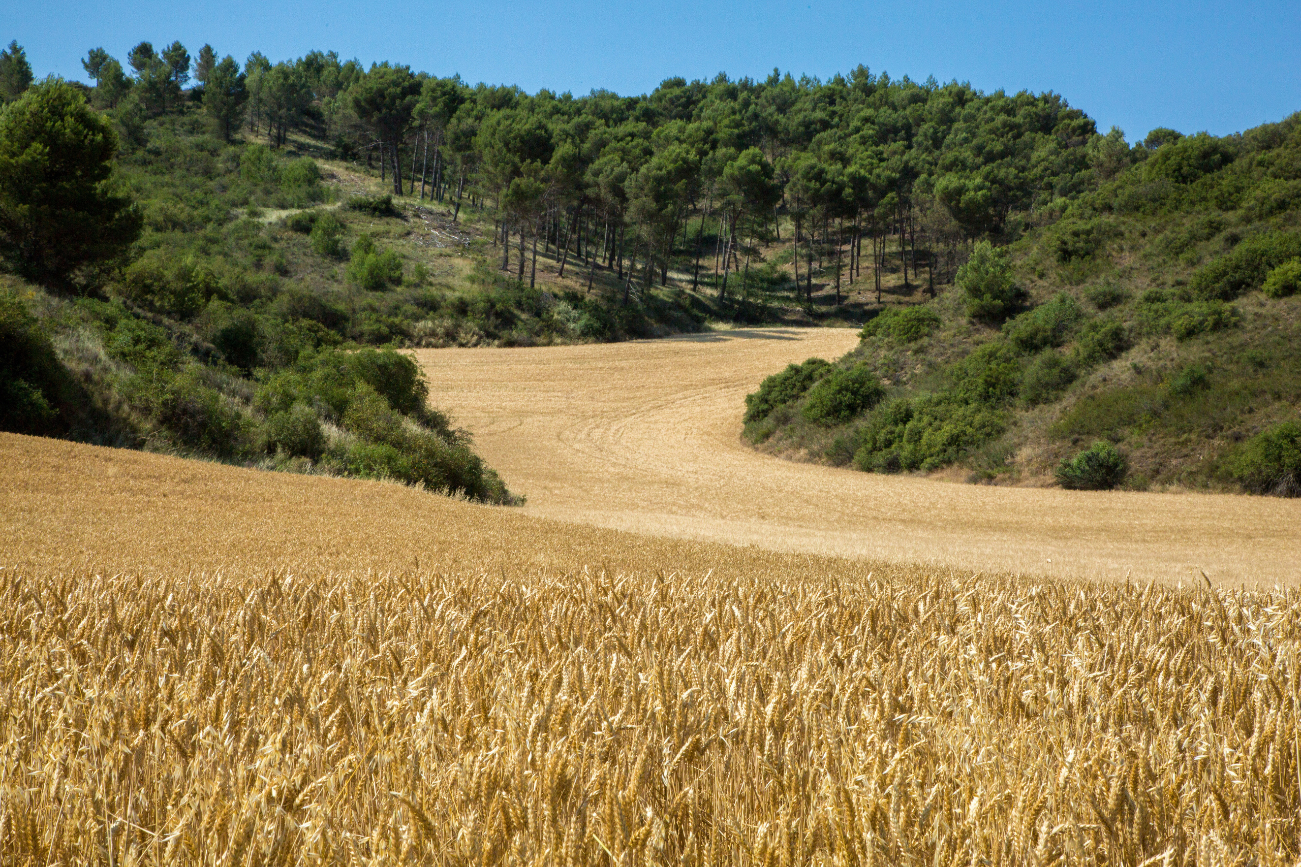 Испания, 2017, Путь Сантьяго из Сен-Жан-Пье-де-По. Творческие сьемки
