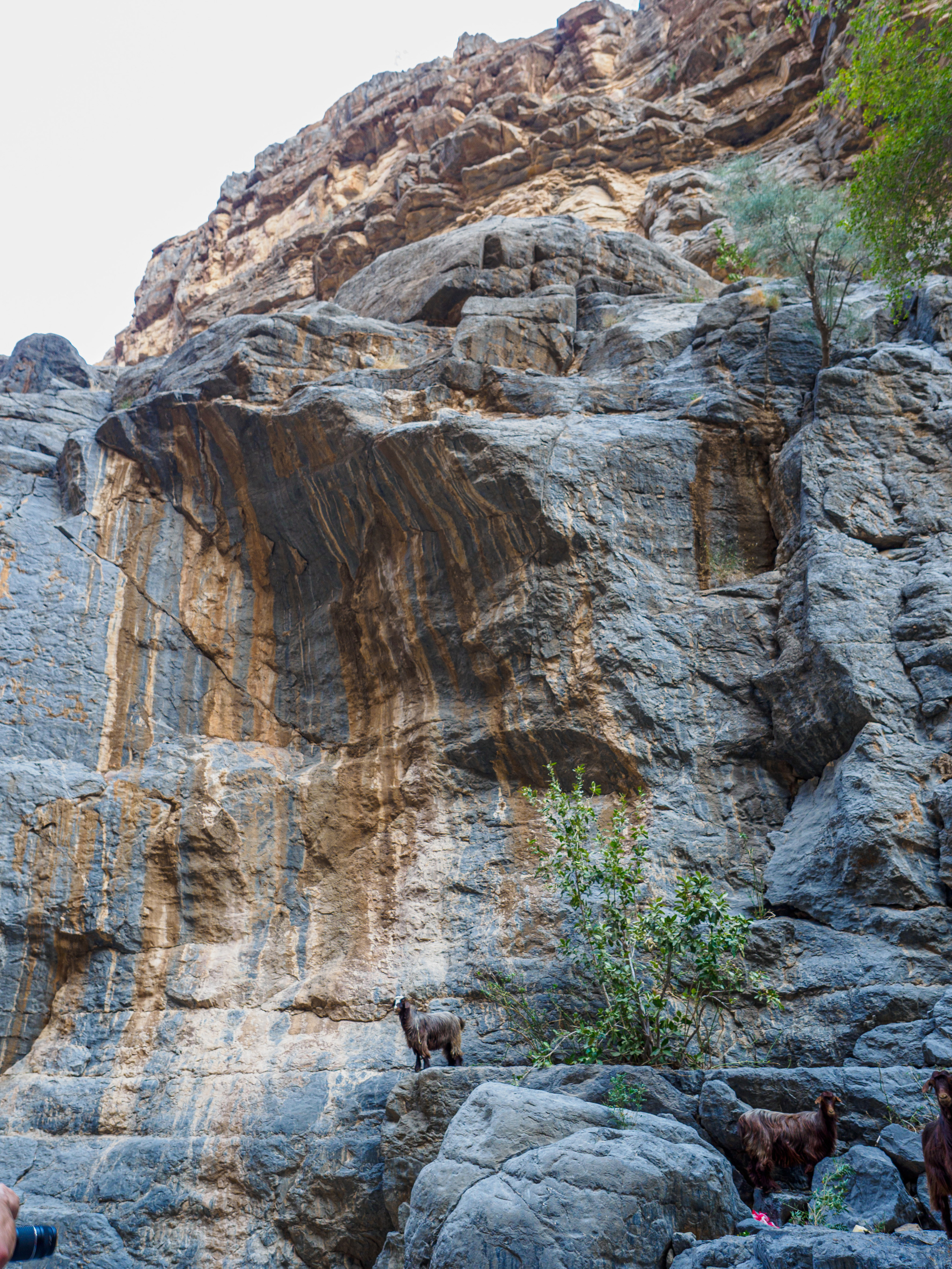 Оман. Творческие сьемки