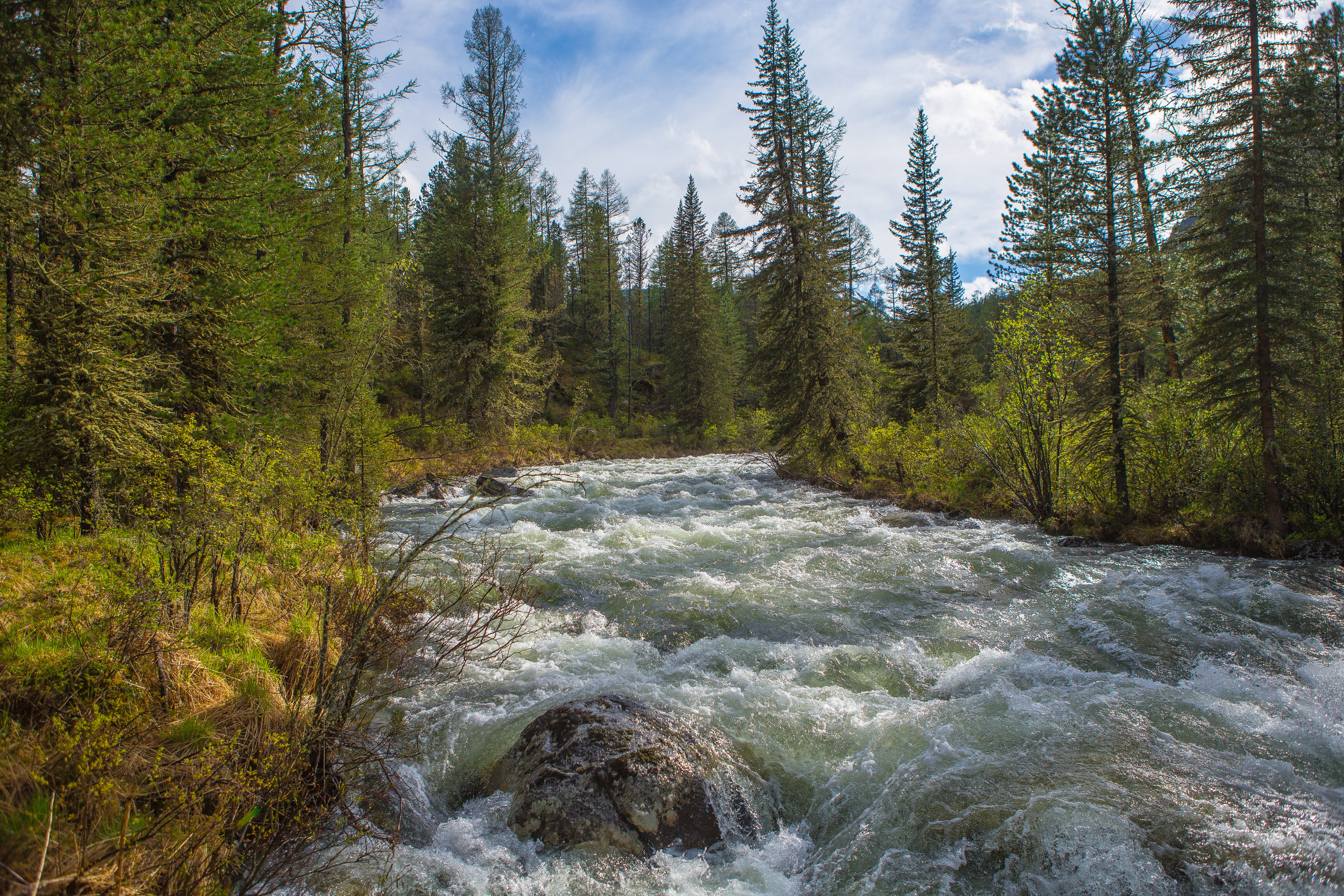 Алтай. Творческие сьемки