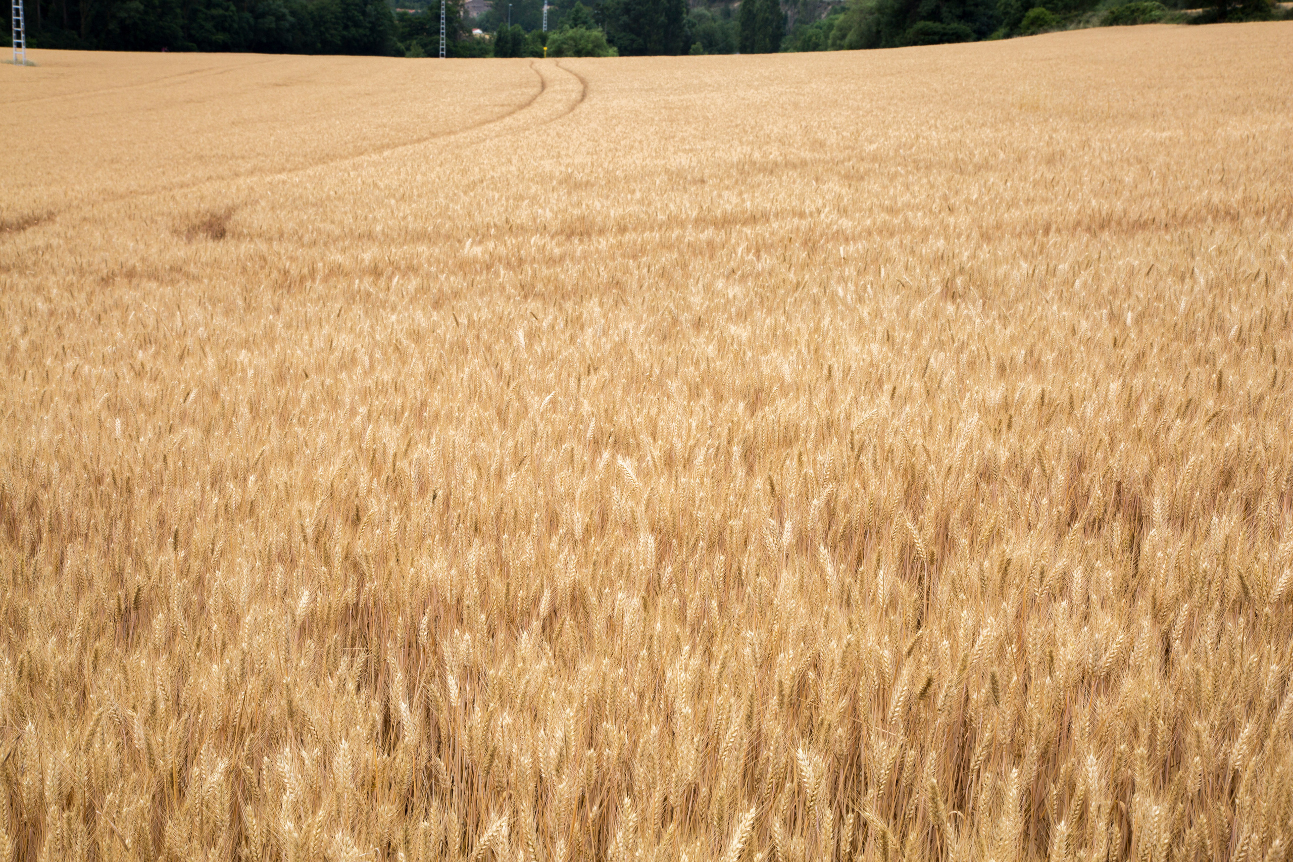 Испания, 2017, Путь Сантьяго из Сен-Жан-Пье-де-По. Творческие сьемки