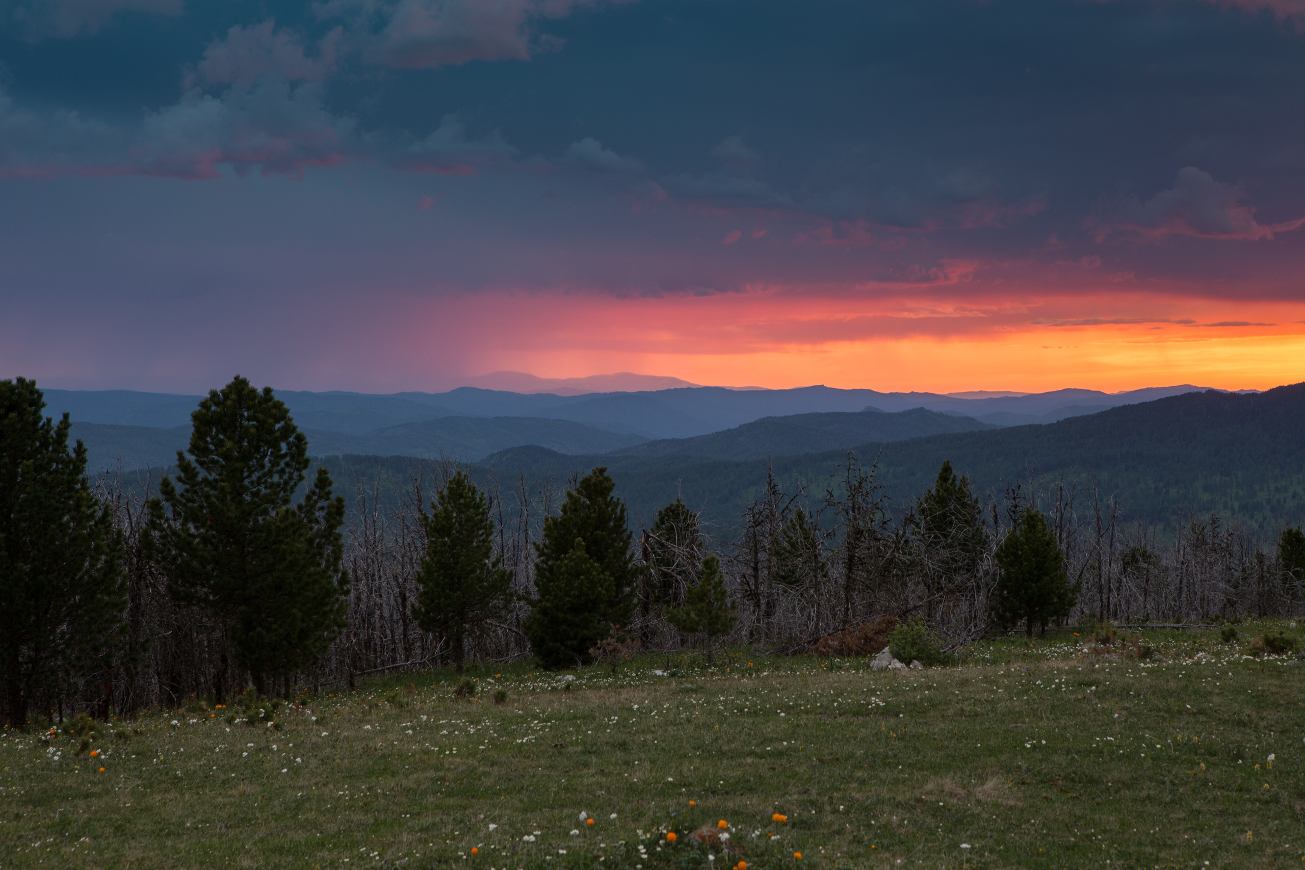 Алтай. Творческие сьемки