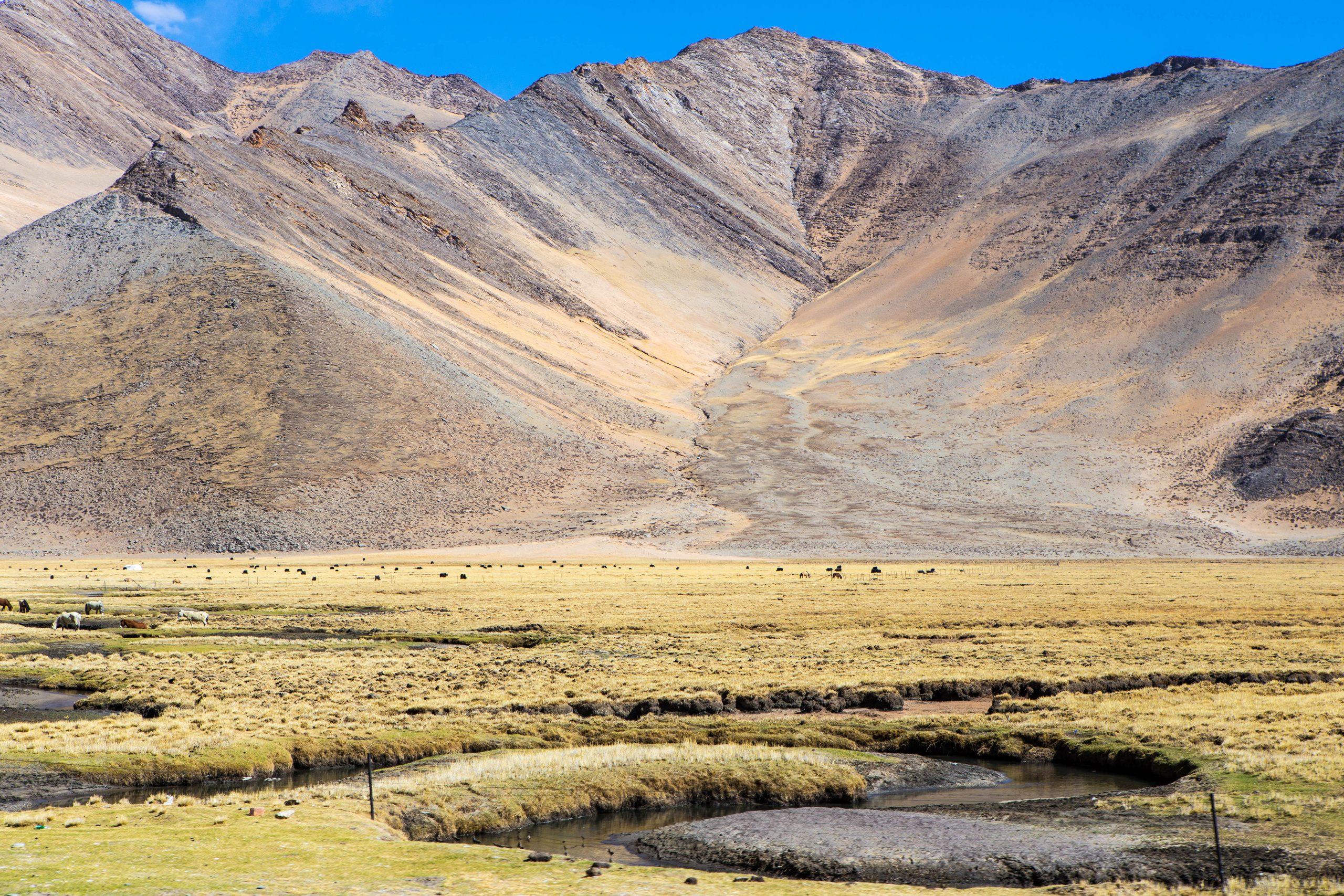 Китай, Тибет, Кора вокруг Кайласа, 2014. Творческие сьемки