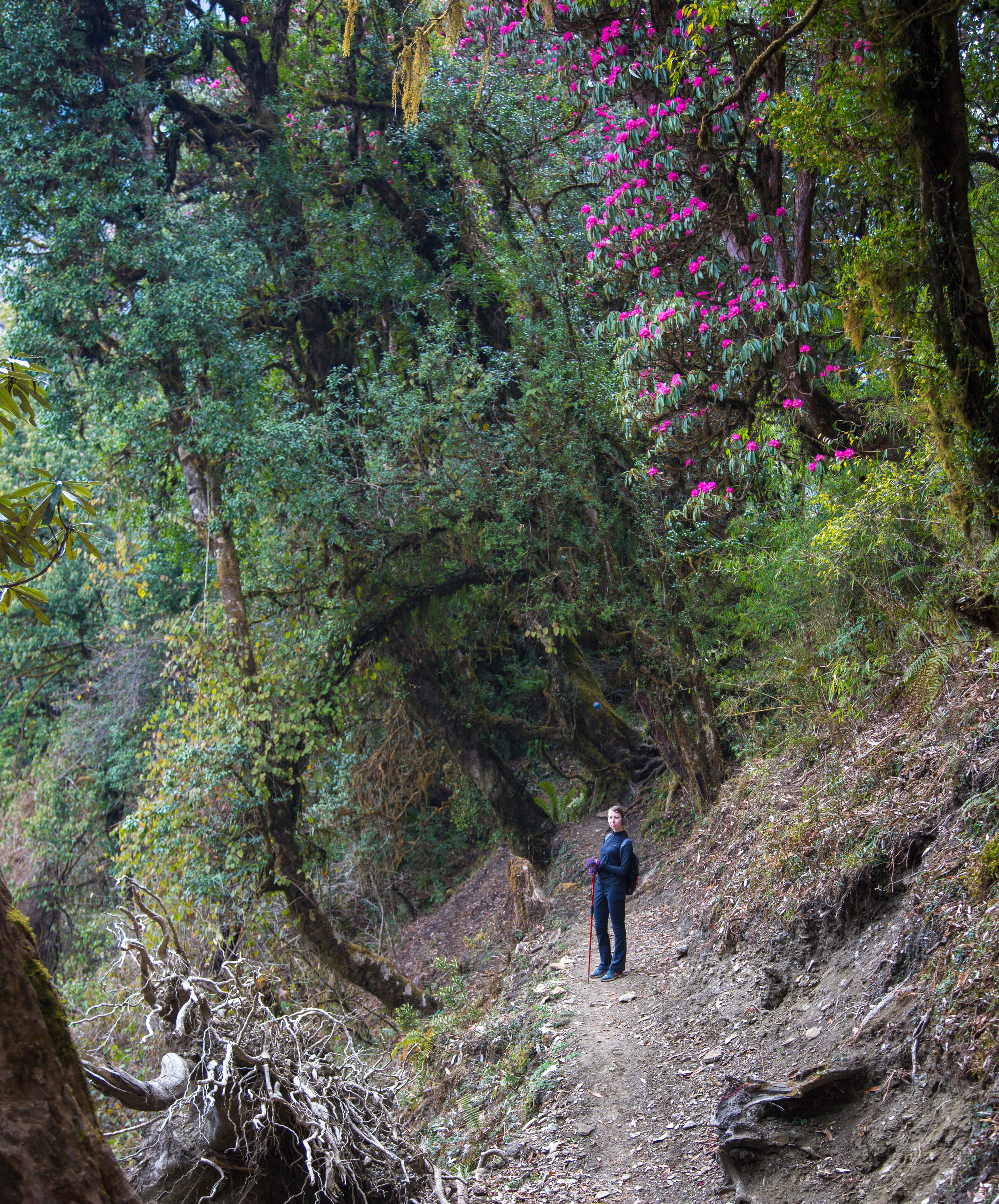 Непал. Творческие сьемки