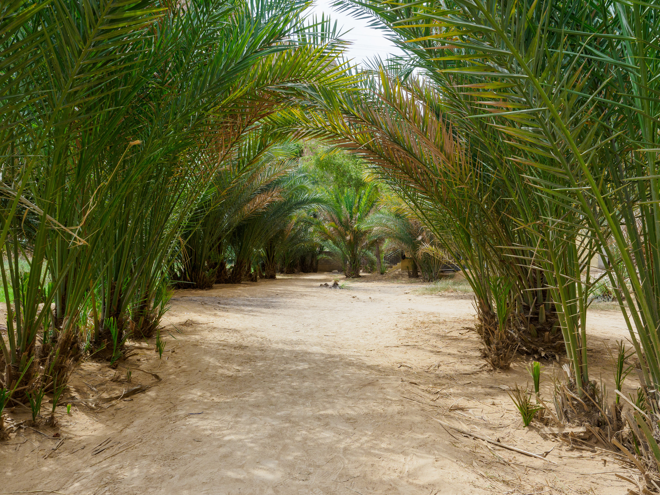 Оман. Творческие сьемки