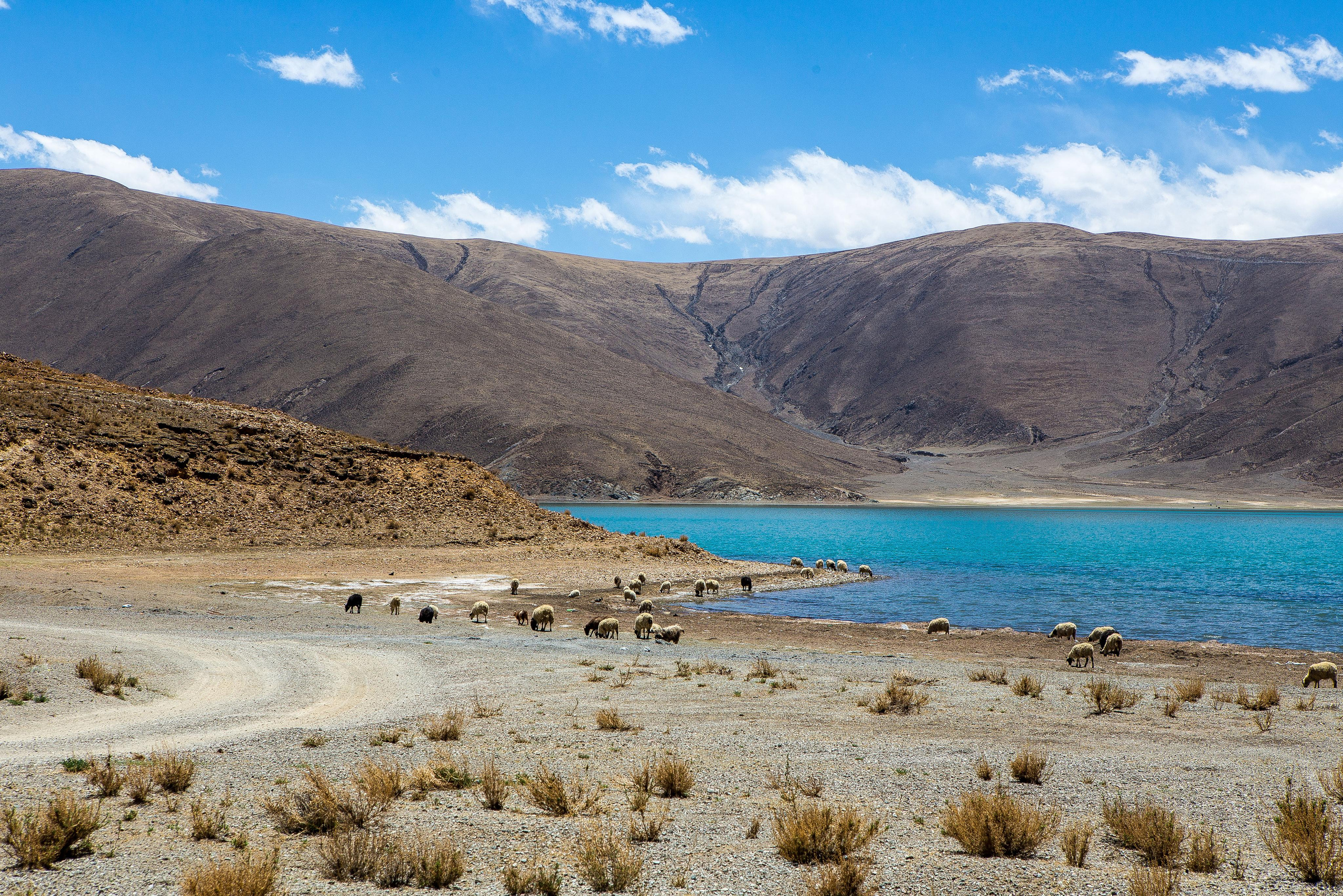 Китай, Тибет, Кора вокруг Кайласа, 2014. Творческие сьемки