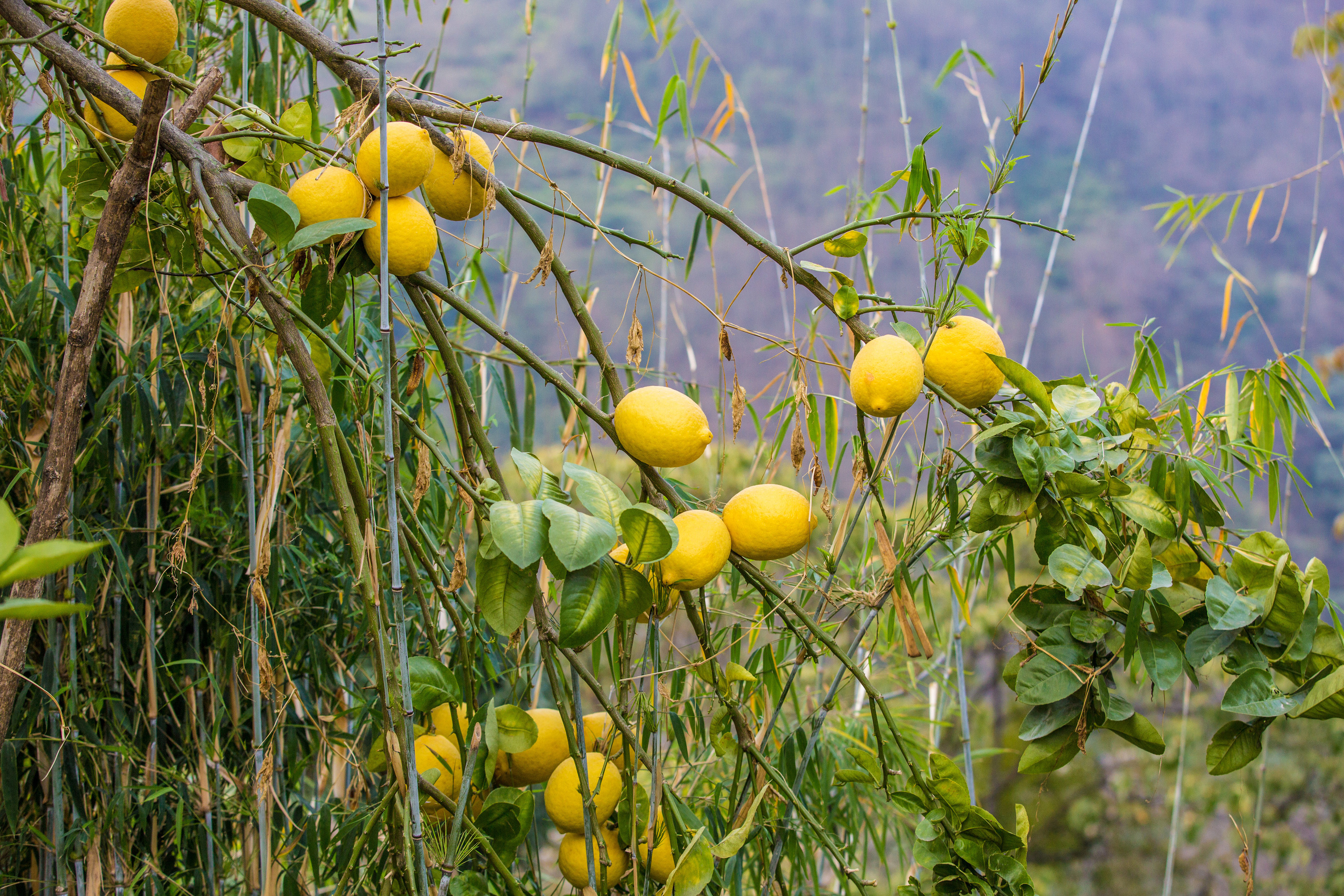 Непал. Творческие сьемки