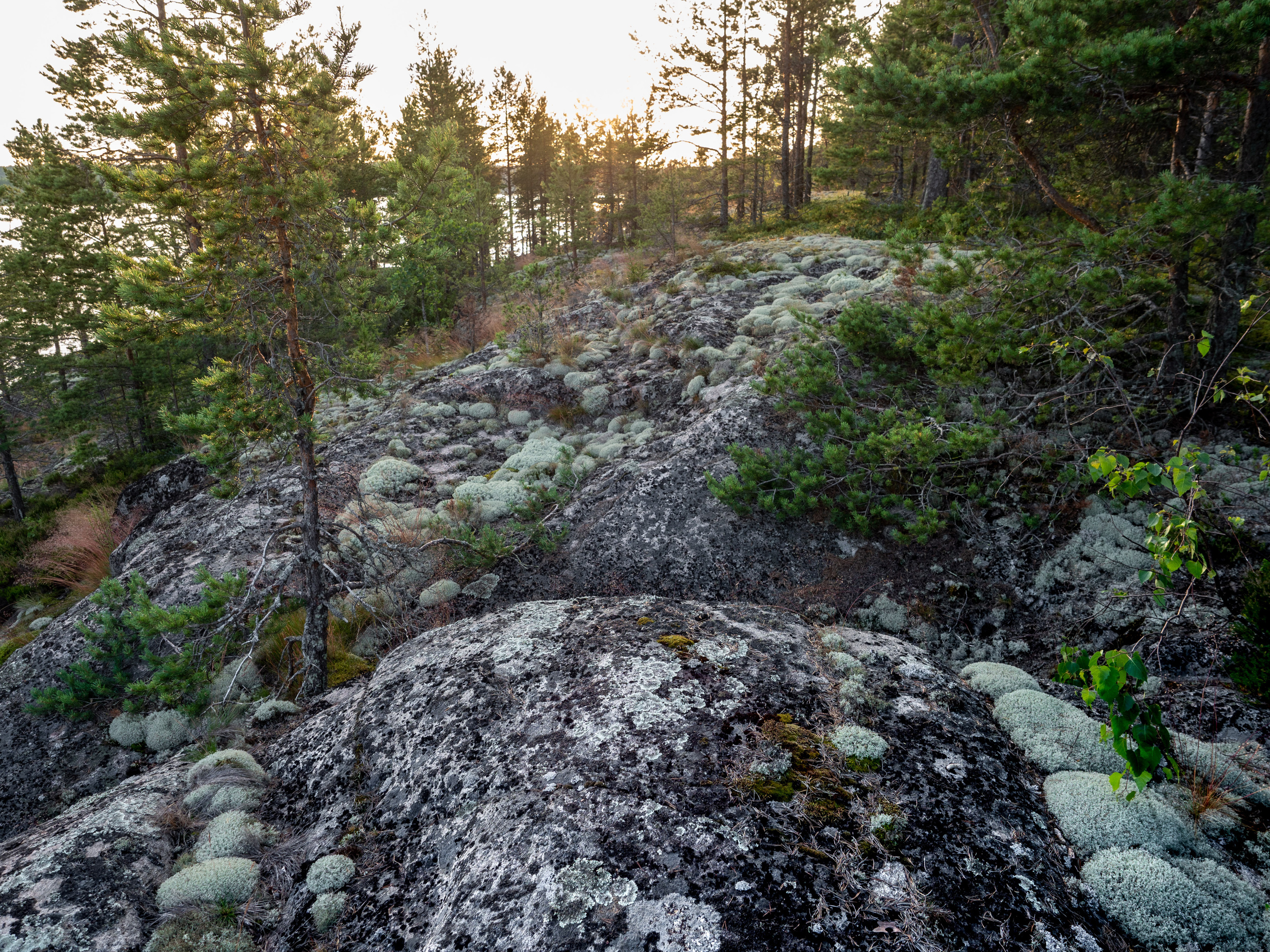 Карелия, Ладога. Творческие сьемки