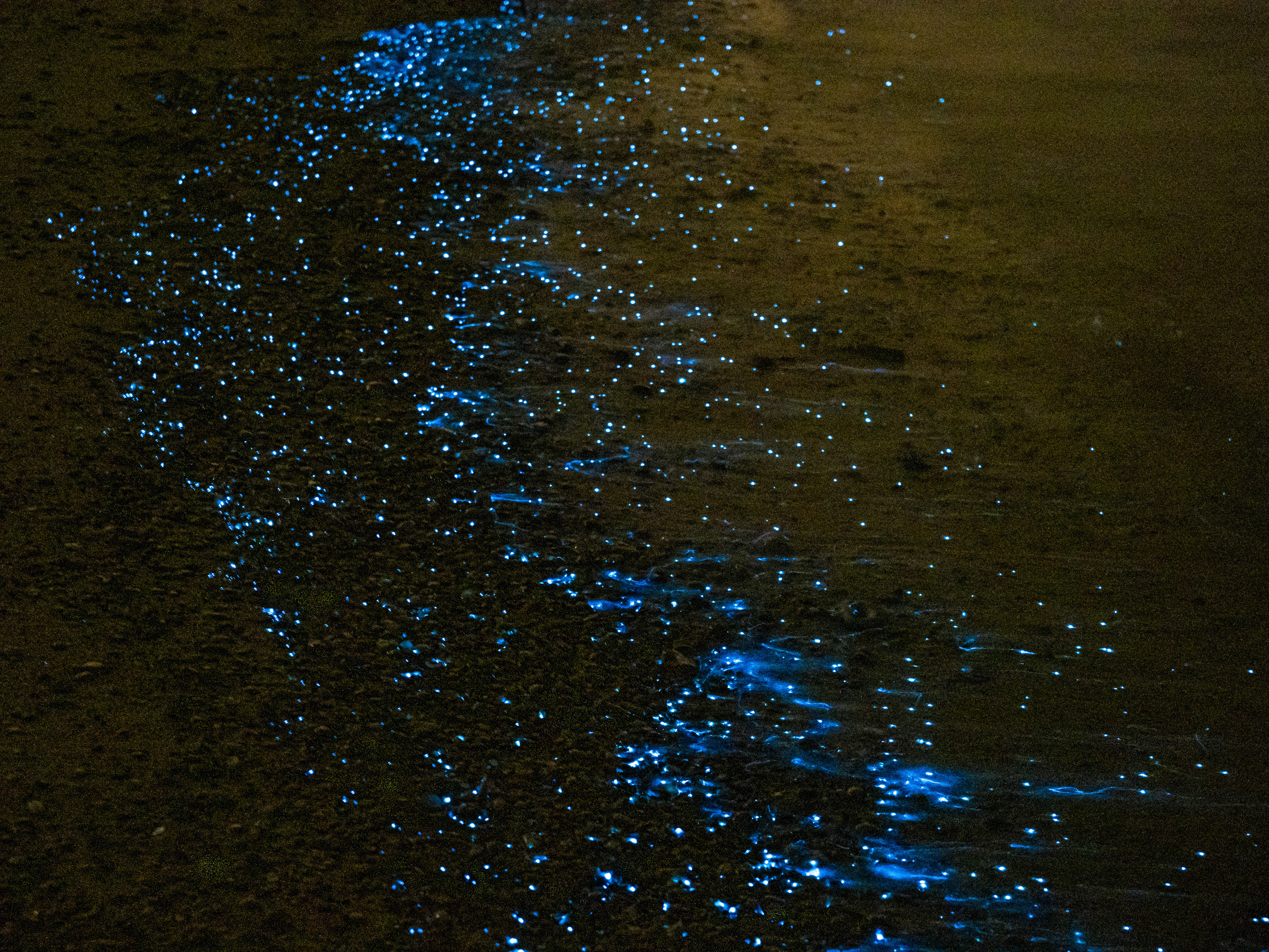 Оман. Творческие сьемки