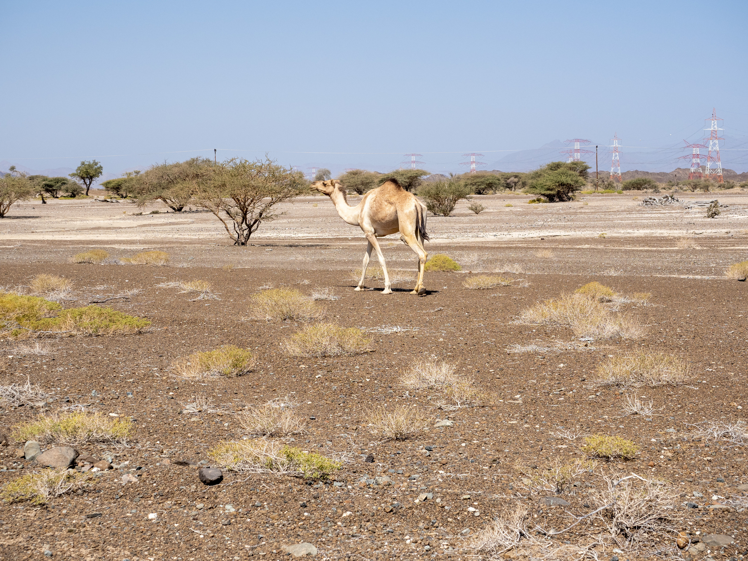 Оман. Творческие сьемки