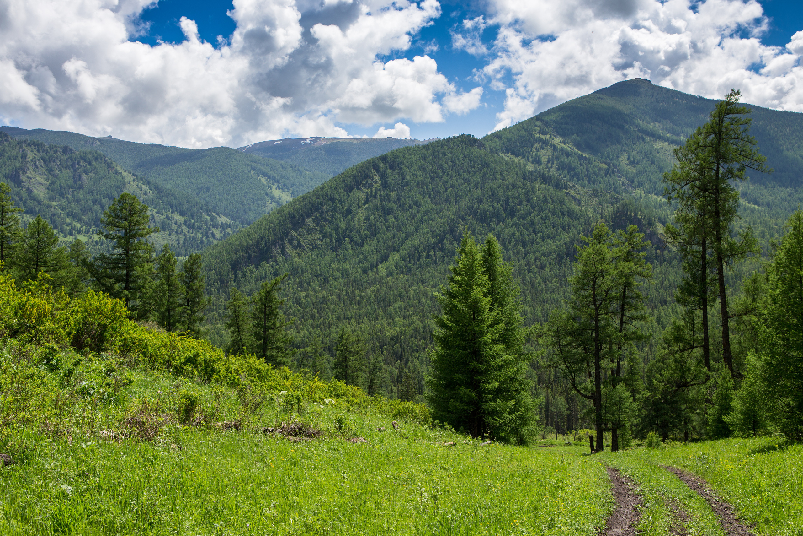Алтай. Творческие сьемки