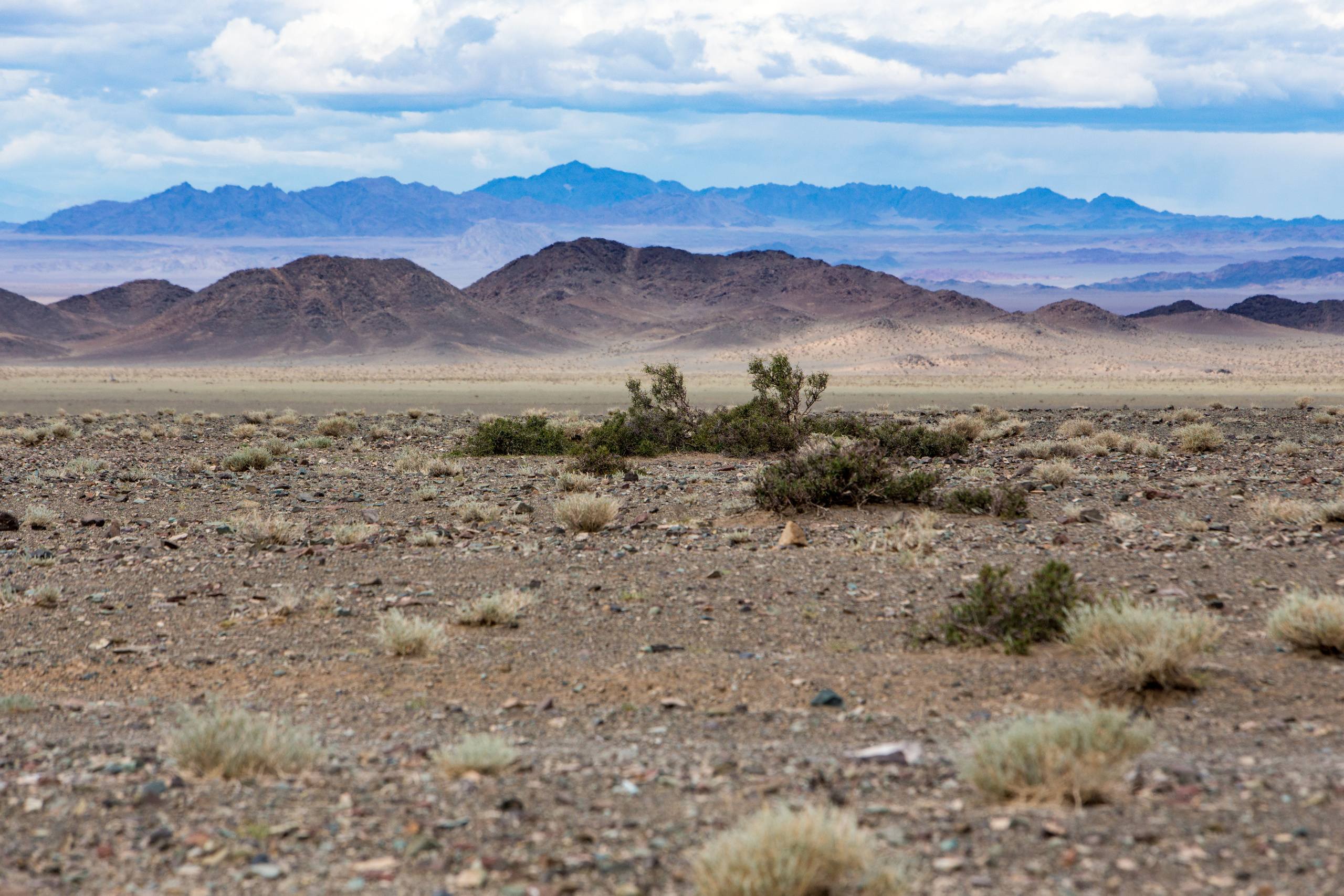 Монголия. Творческие сьемки