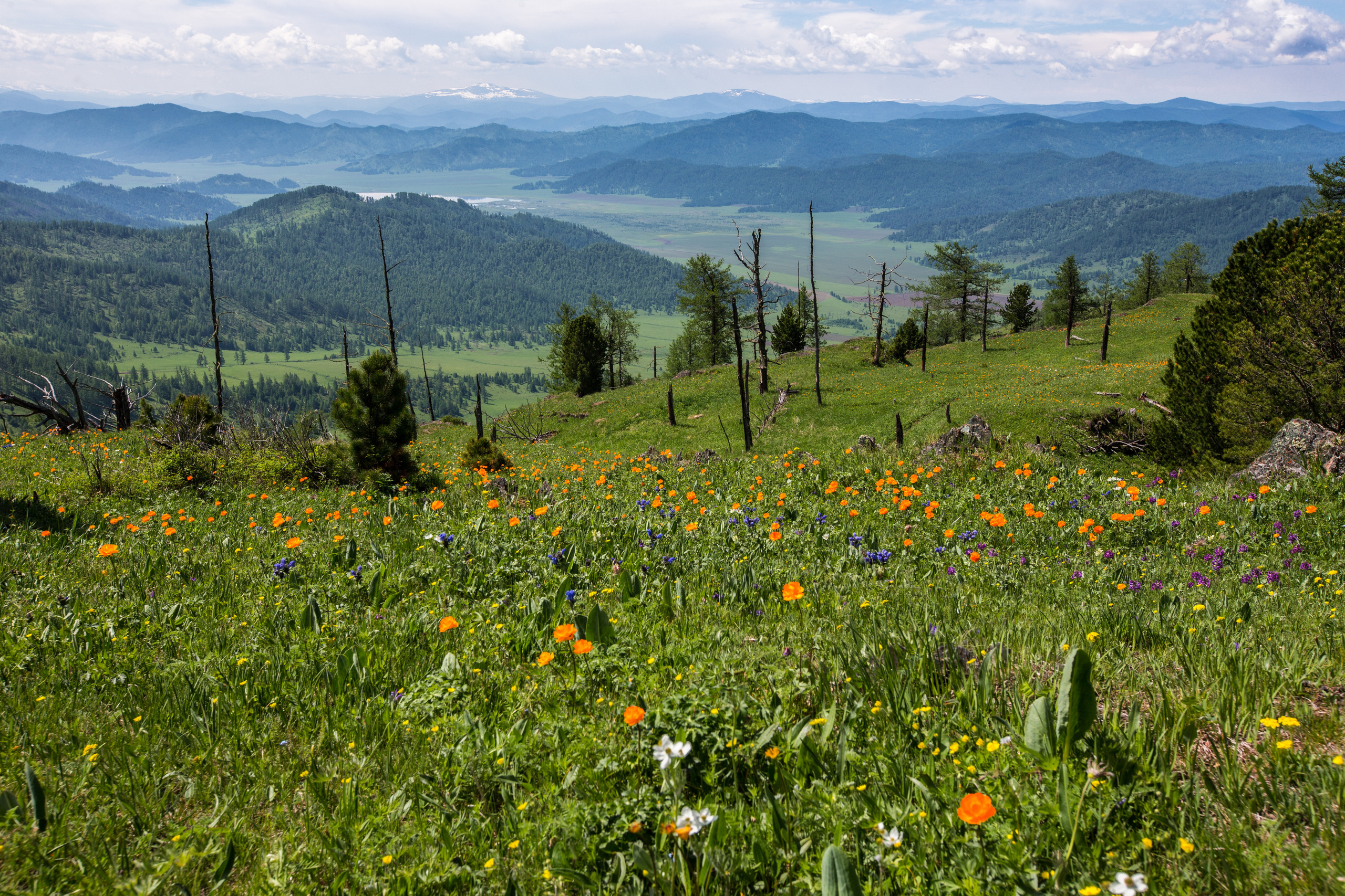 Алтай. Творческие сьемки