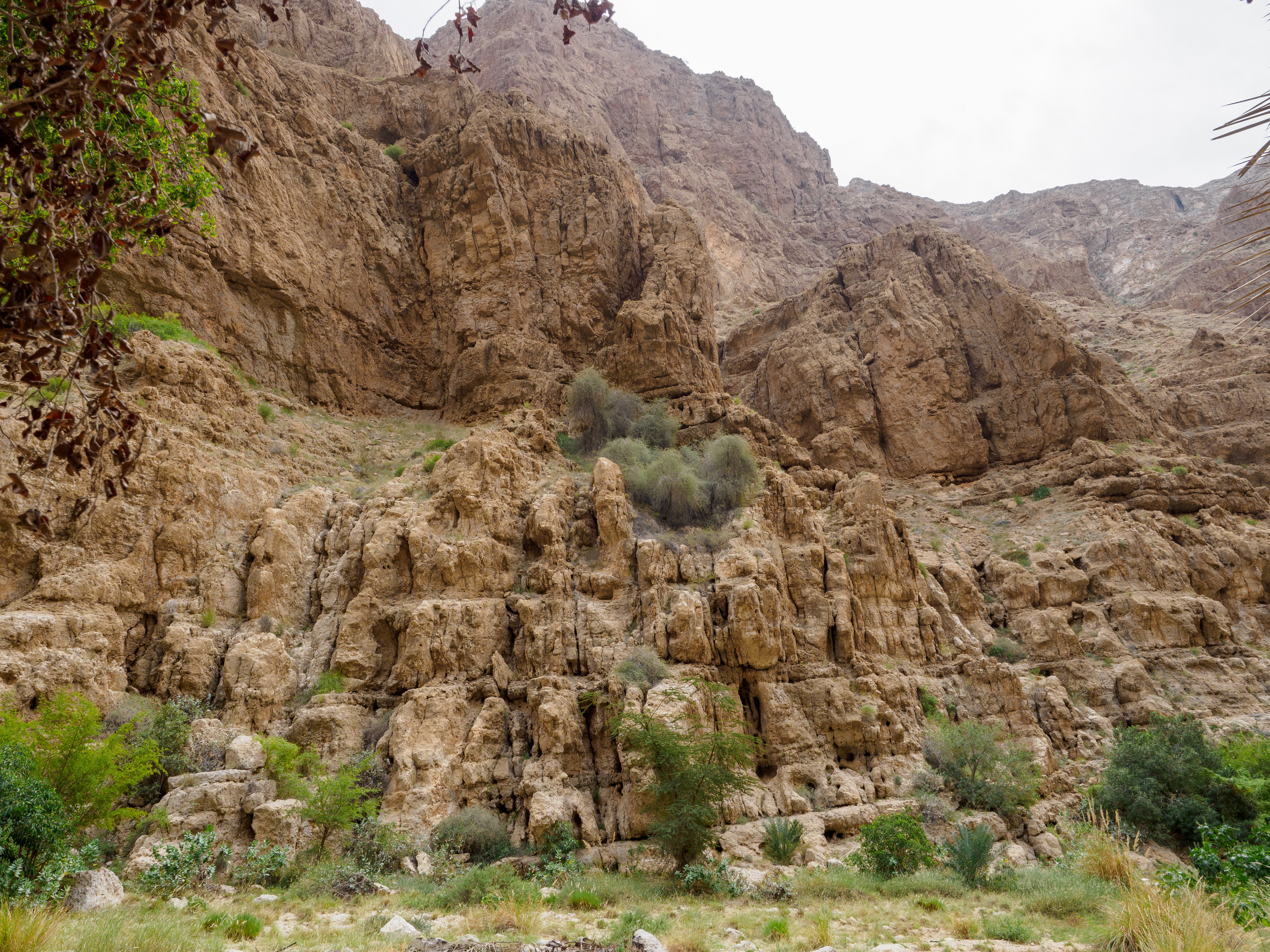 Оман. Творческие сьемки