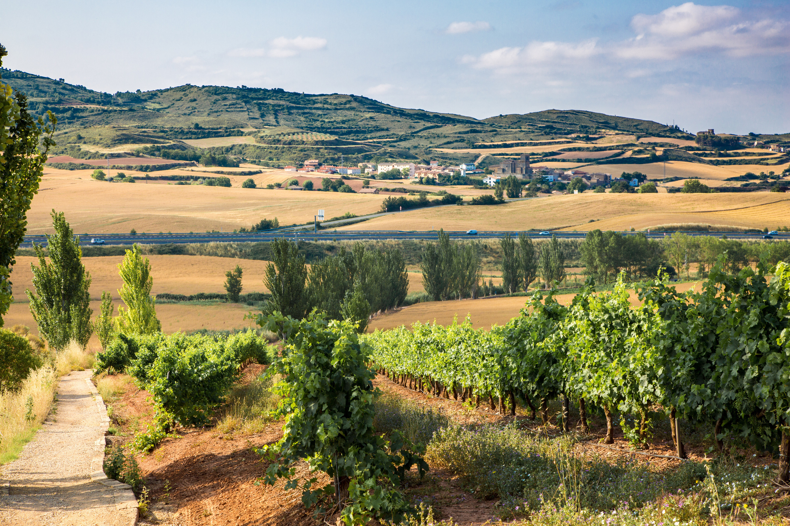 Испания, 2017, Путь Сантьяго из Сен-Жан-Пье-де-По. Творческие сьемки