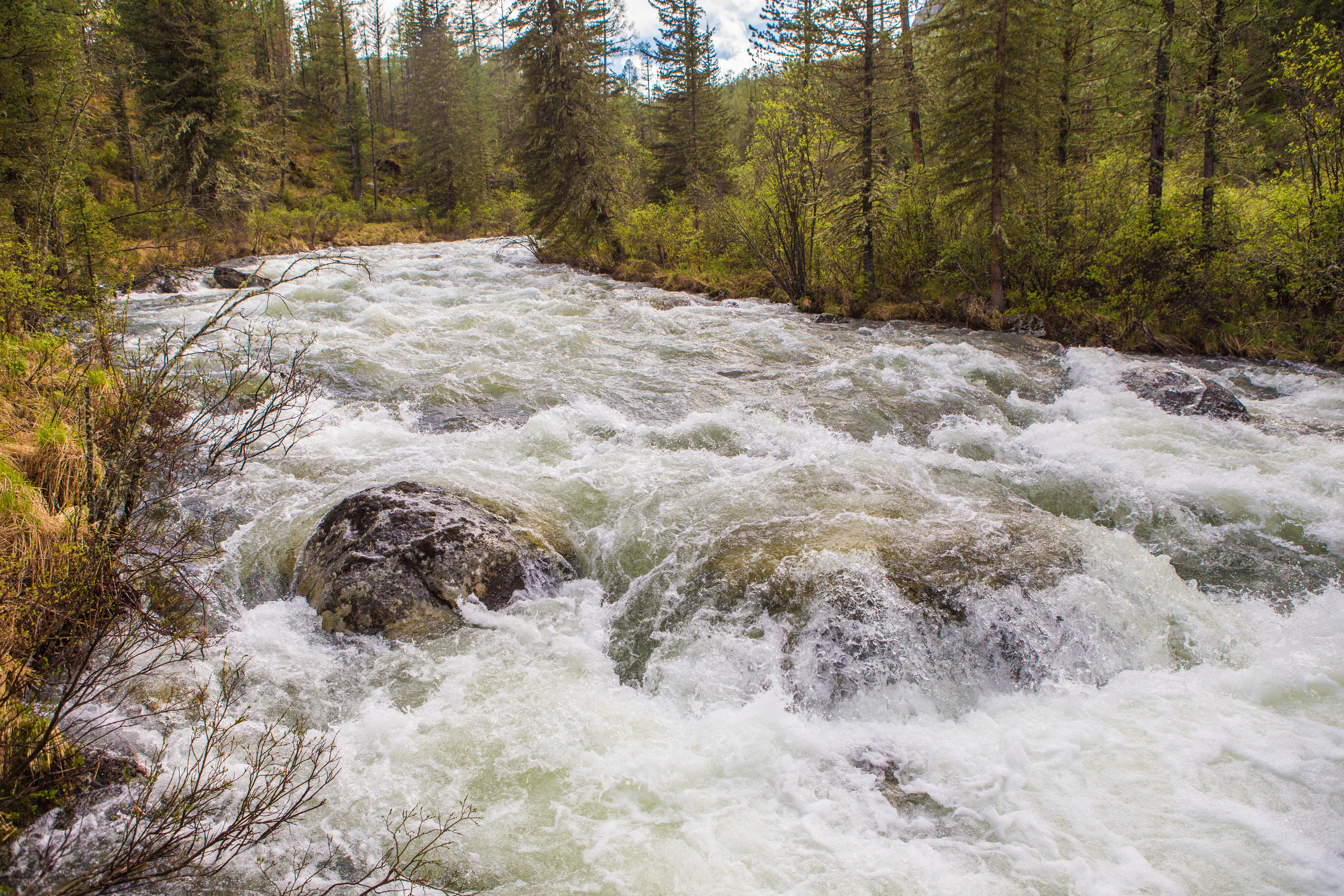 Алтай. Творческие сьемки