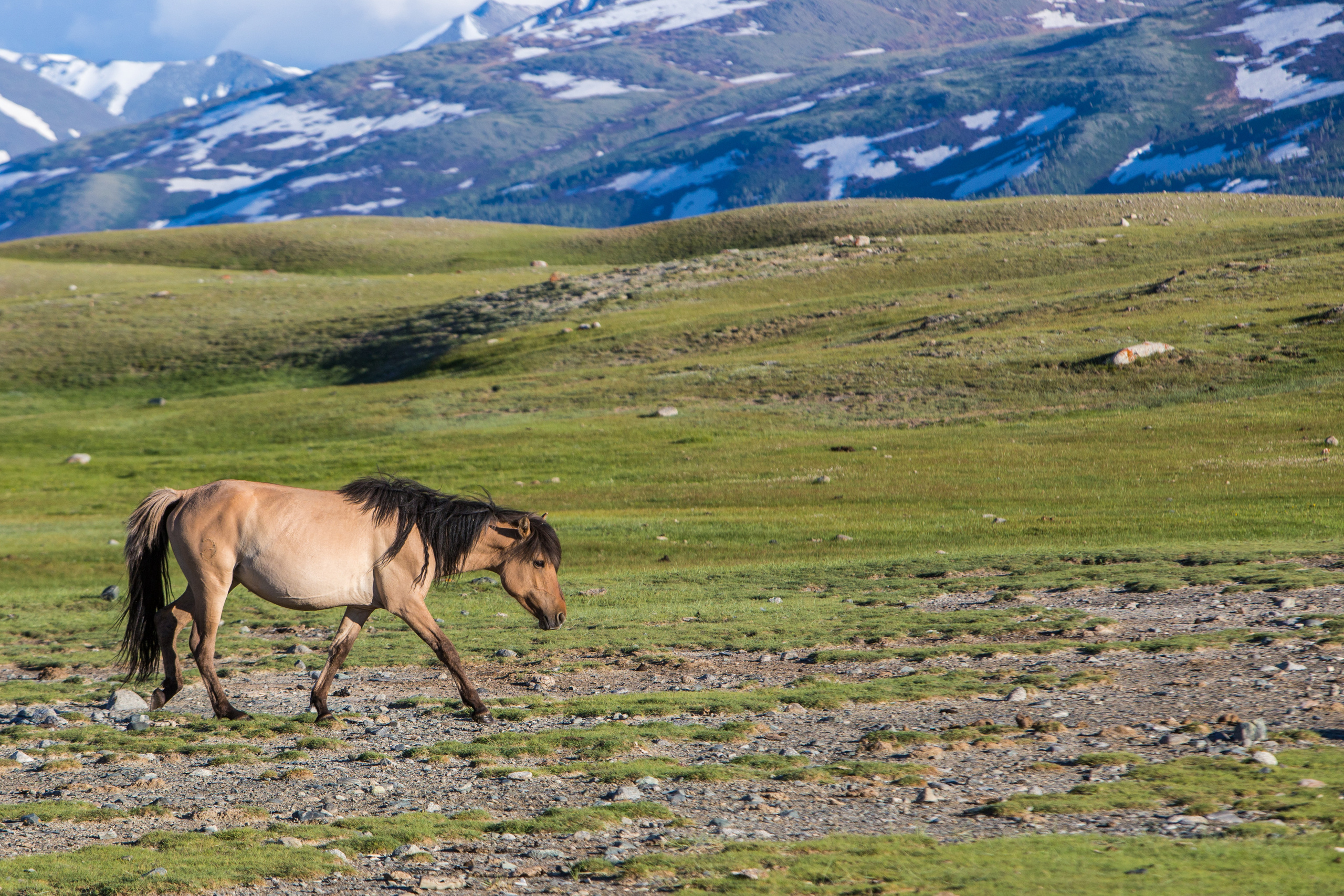 Монголия. Творческие сьемки