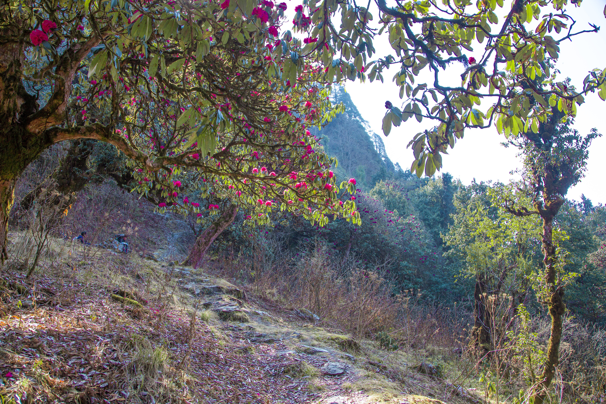 Непал. Творческие сьемки