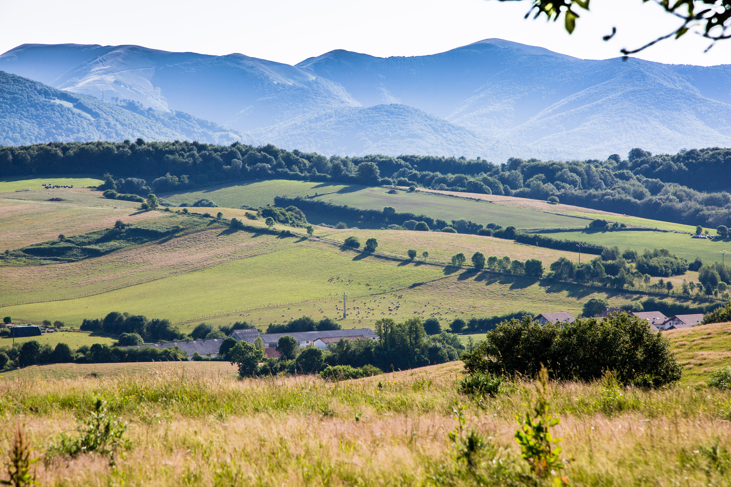 Испания, 2017, Путь Сантьяго из Сен-Жан-Пье-де-По. Творческие сьемки