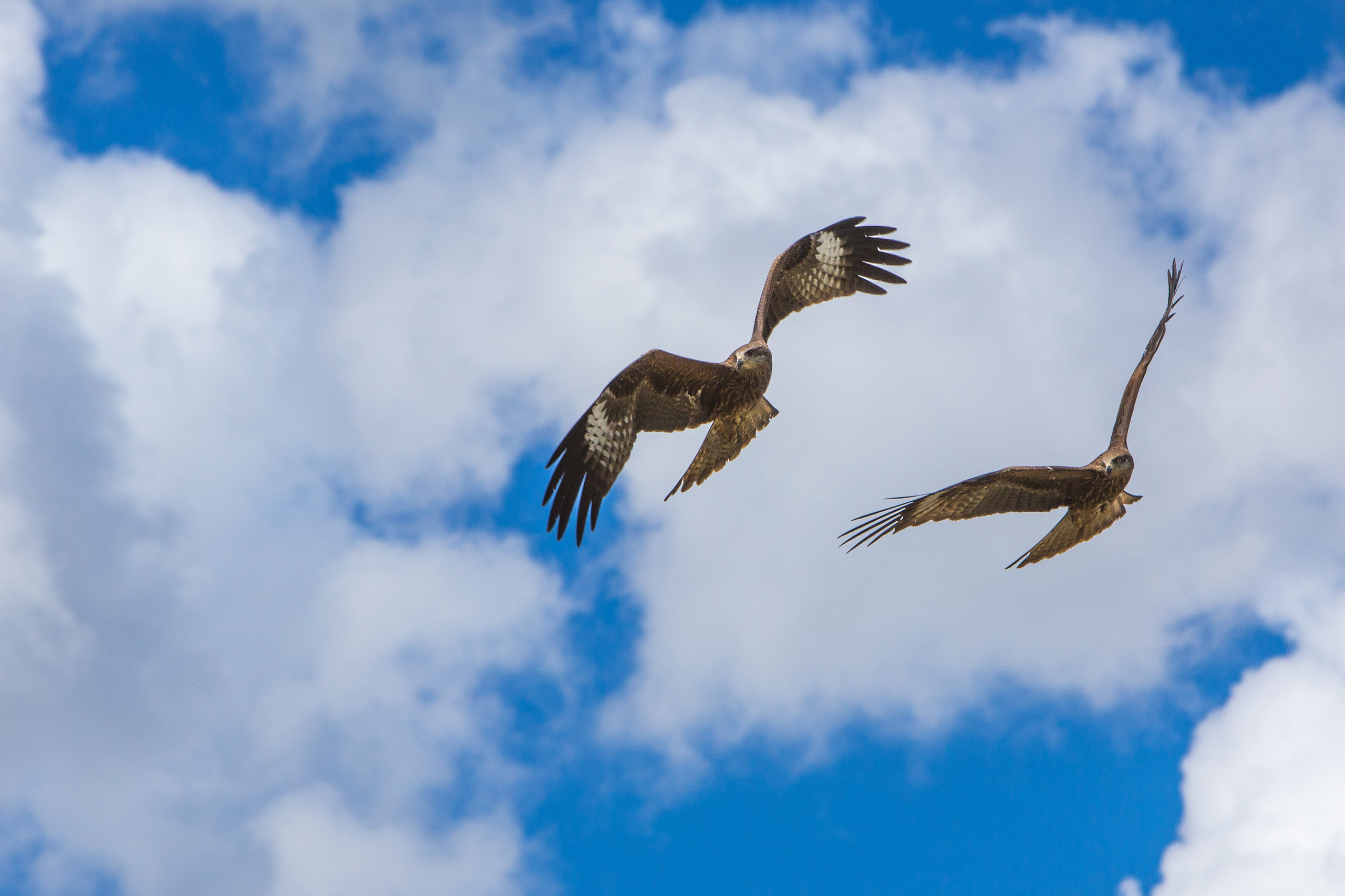 Монголия. Творческие сьемки