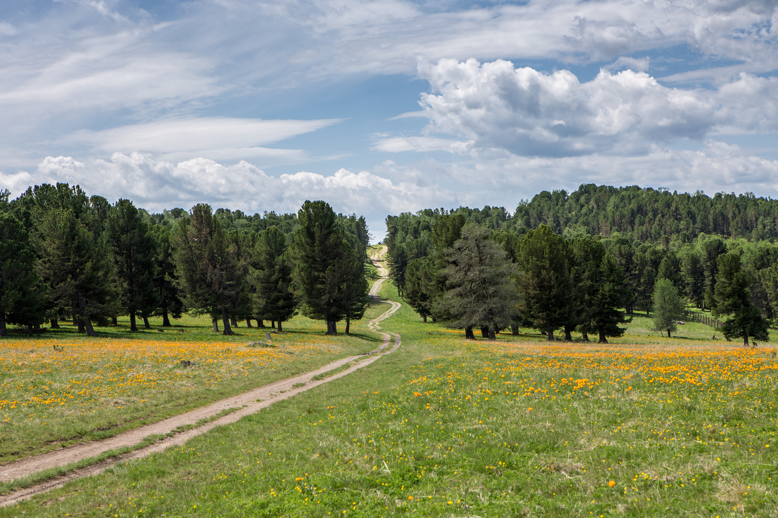 Алтай. Творческие сьемки