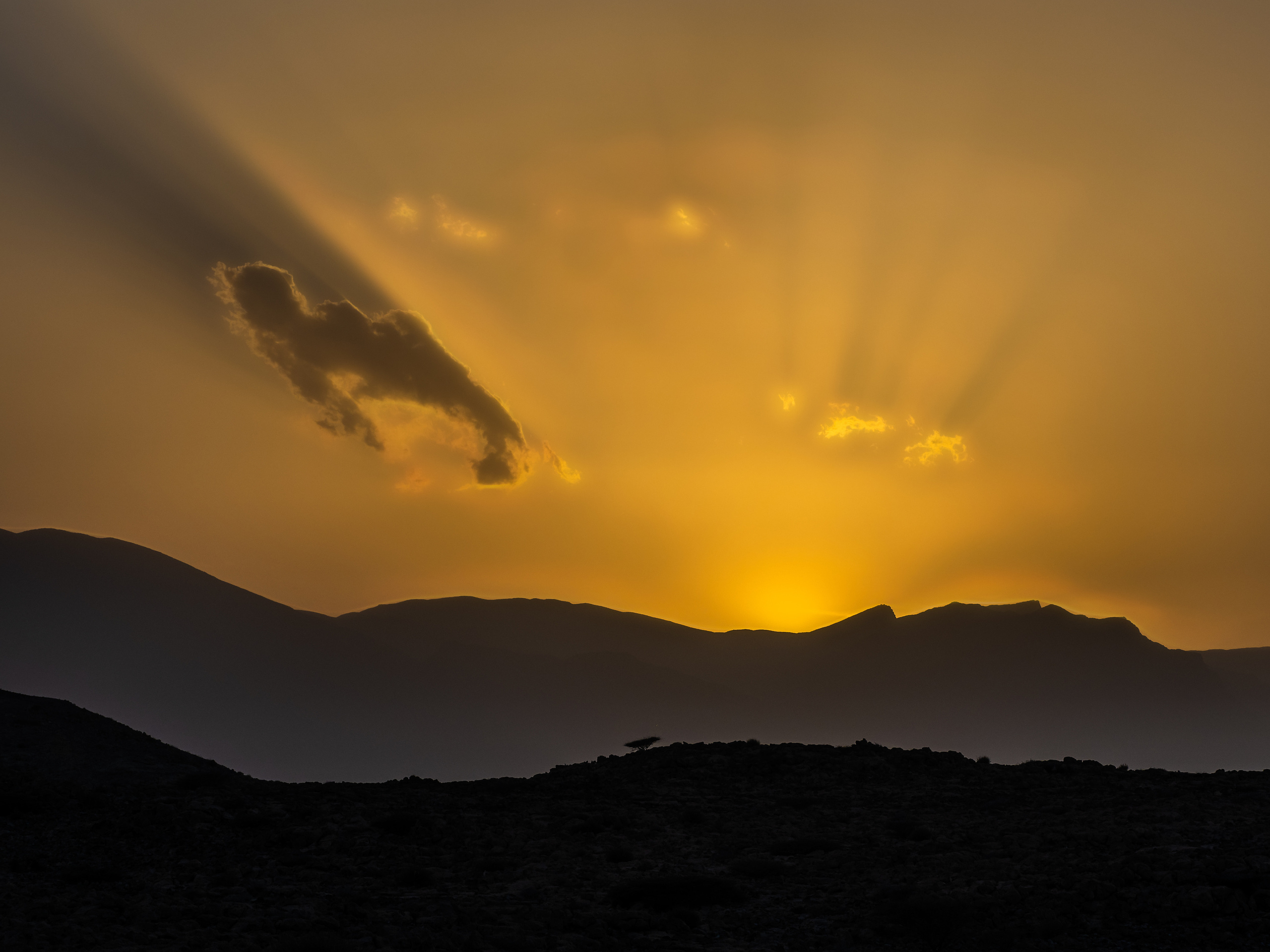 Оман. Творческие сьемки