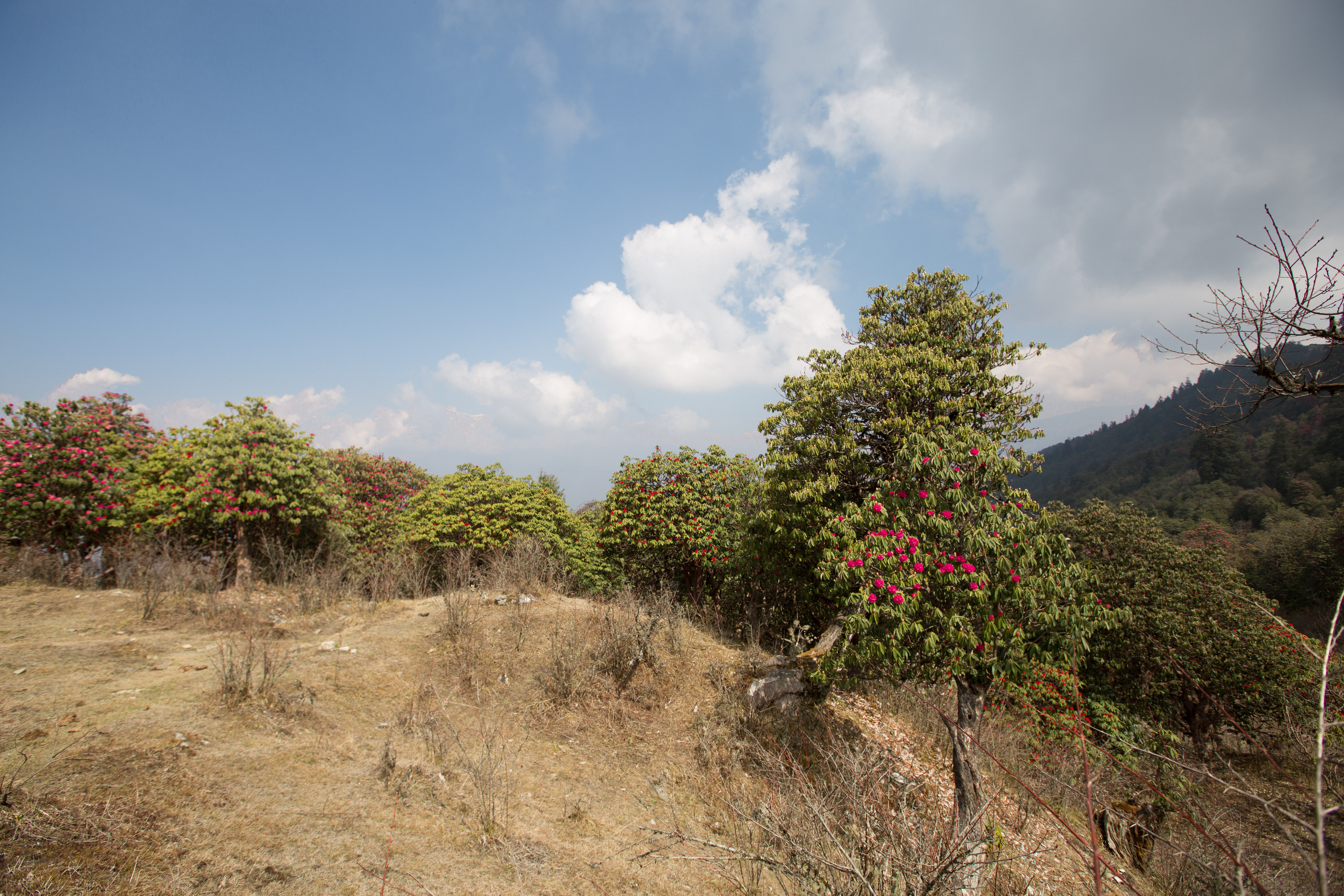 Непал. Творческие сьемки
