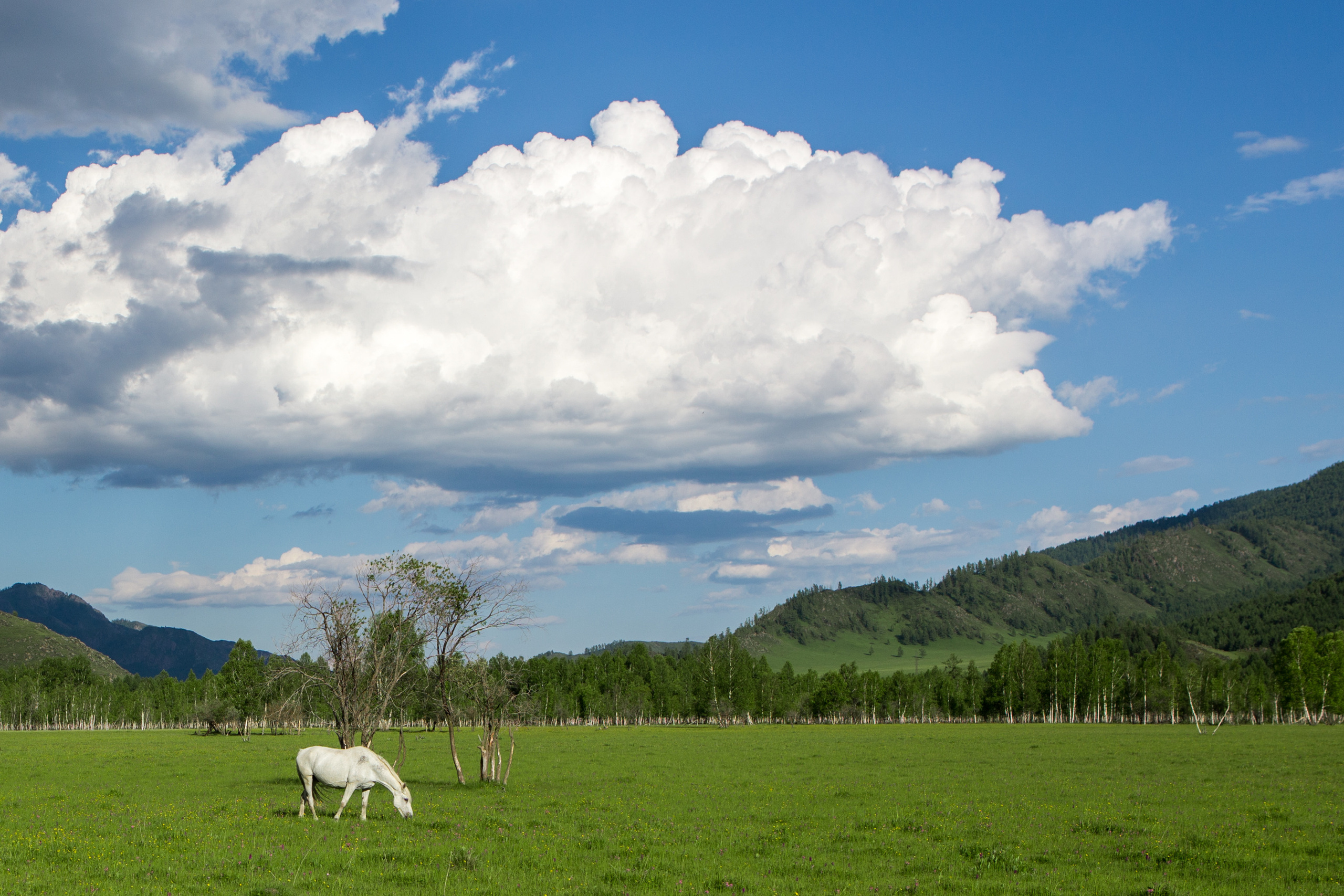 Алтай. Творческие сьемки