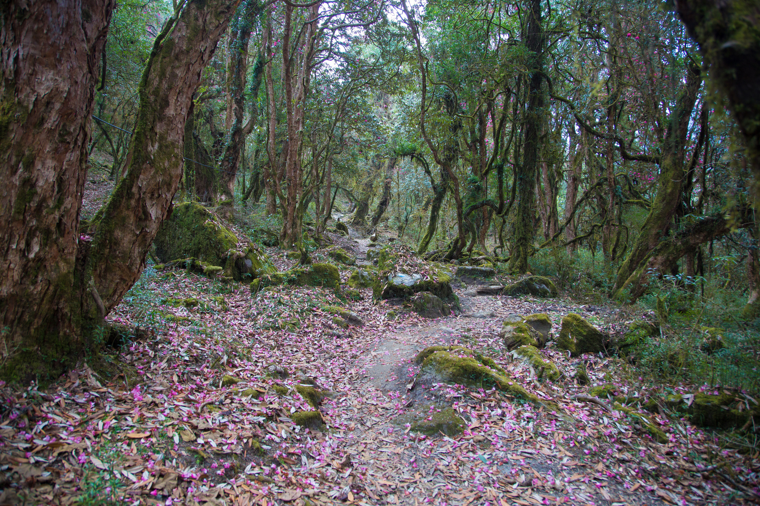 Непал. Творческие сьемки