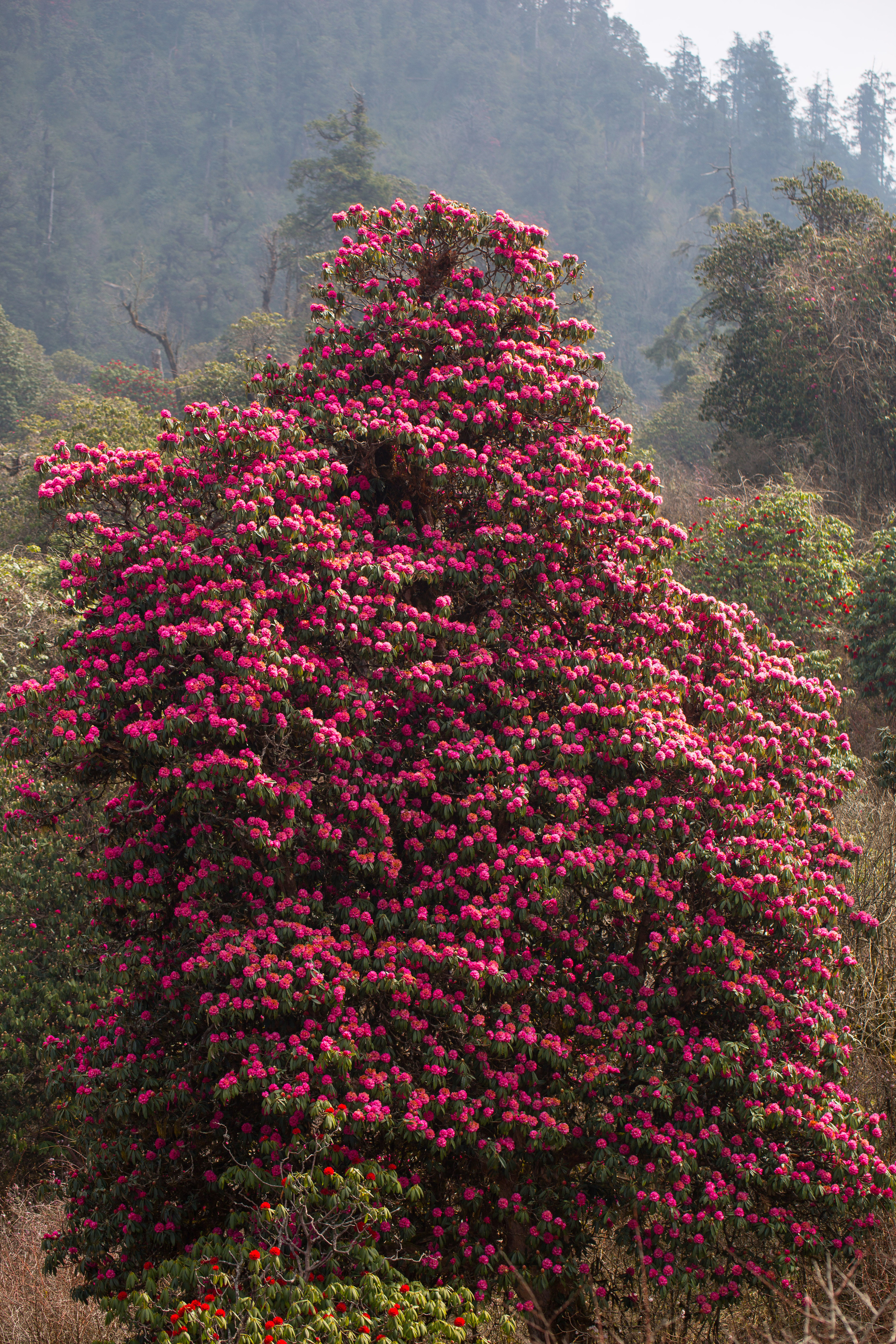 Непал. Творческие сьемки