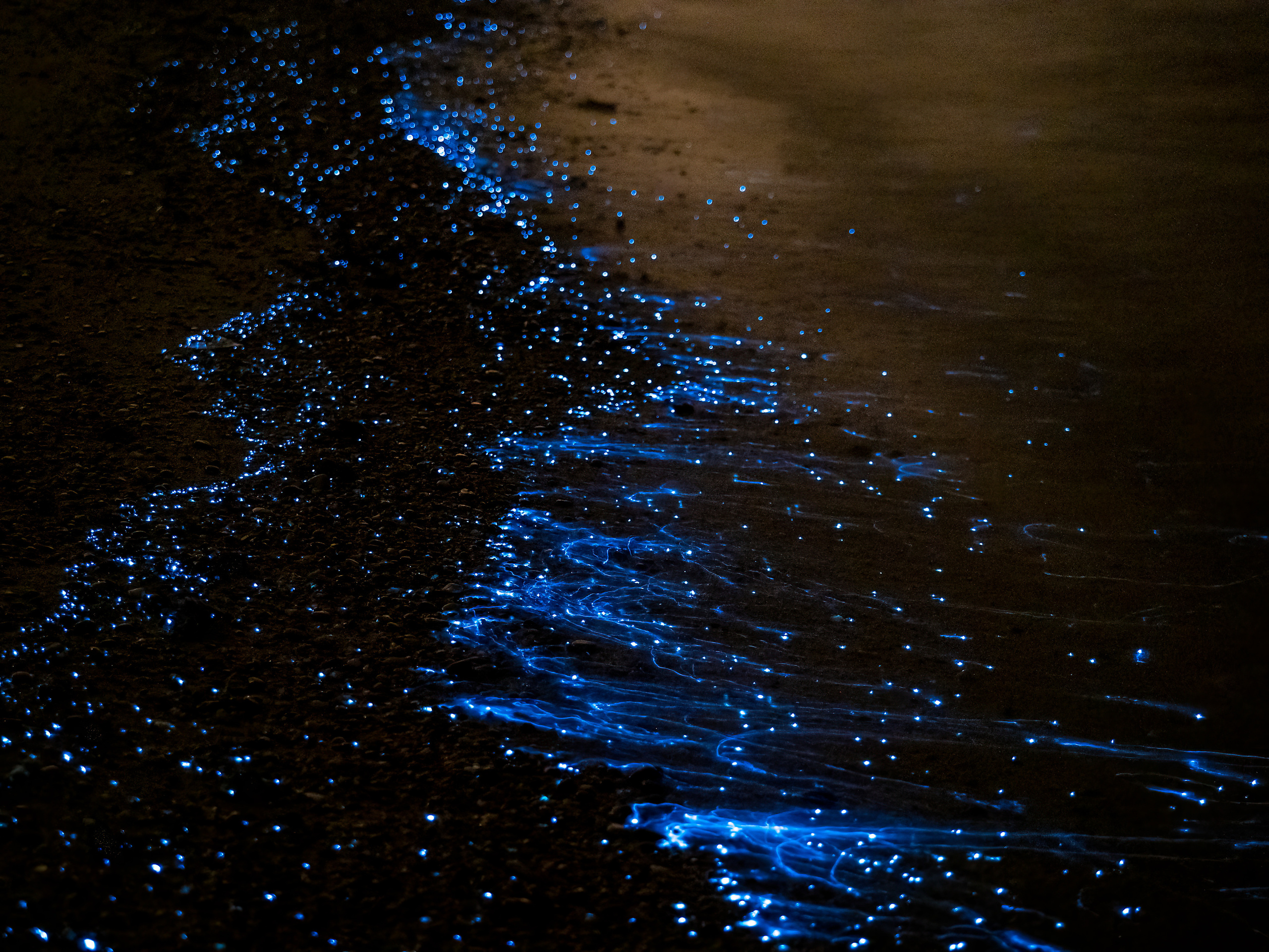 Оман. Творческие сьемки