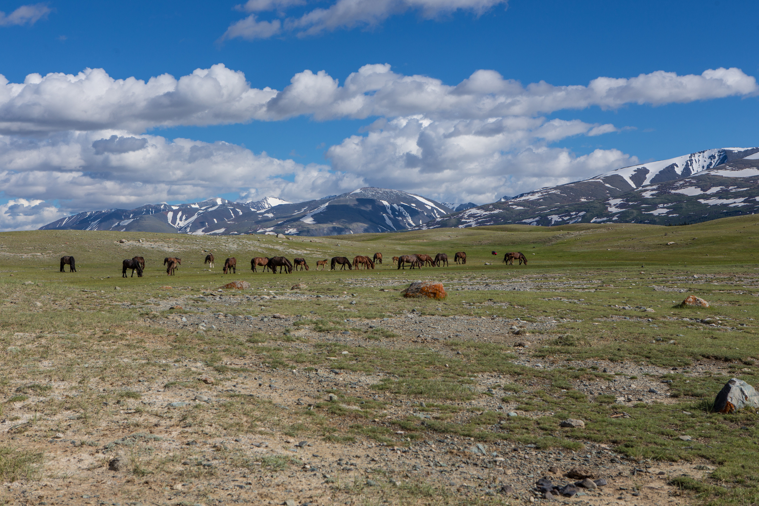 Монголия. Творческие сьемки