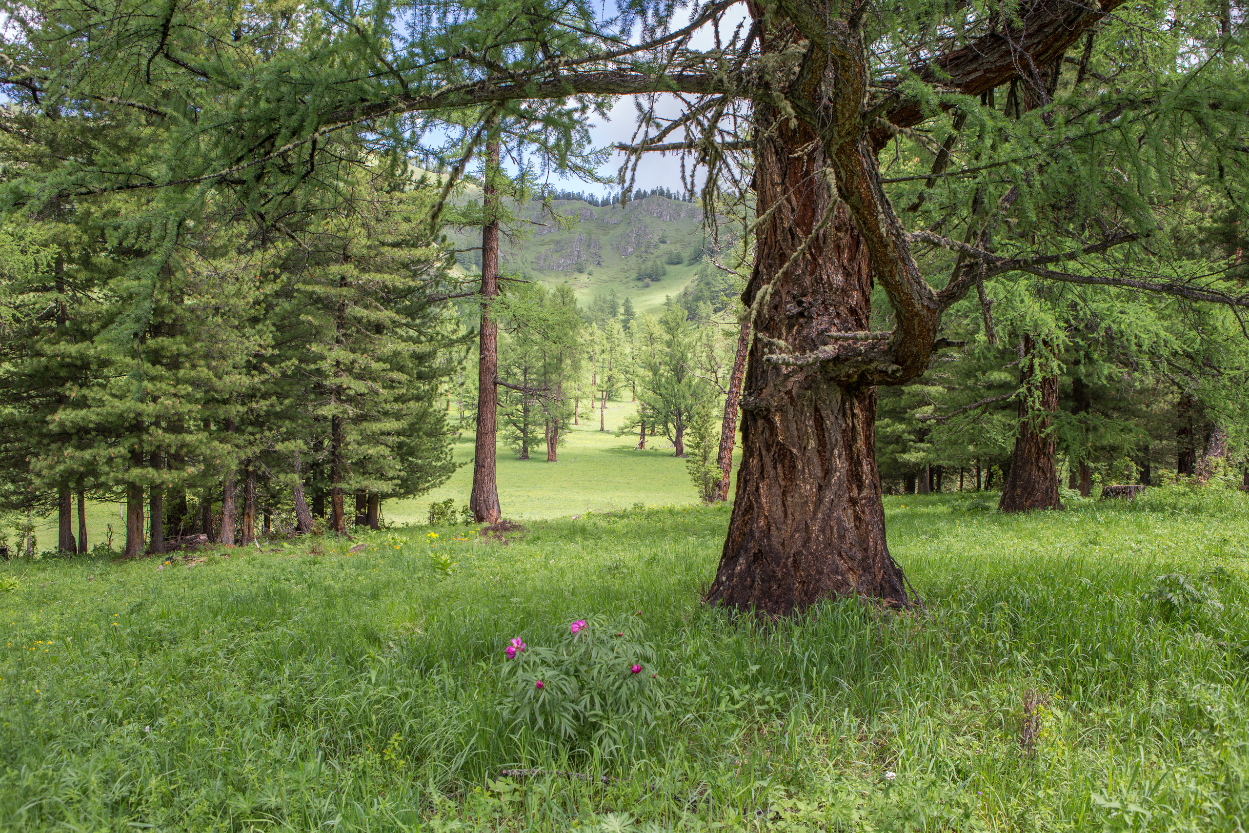 Алтай. Творческие сьемки