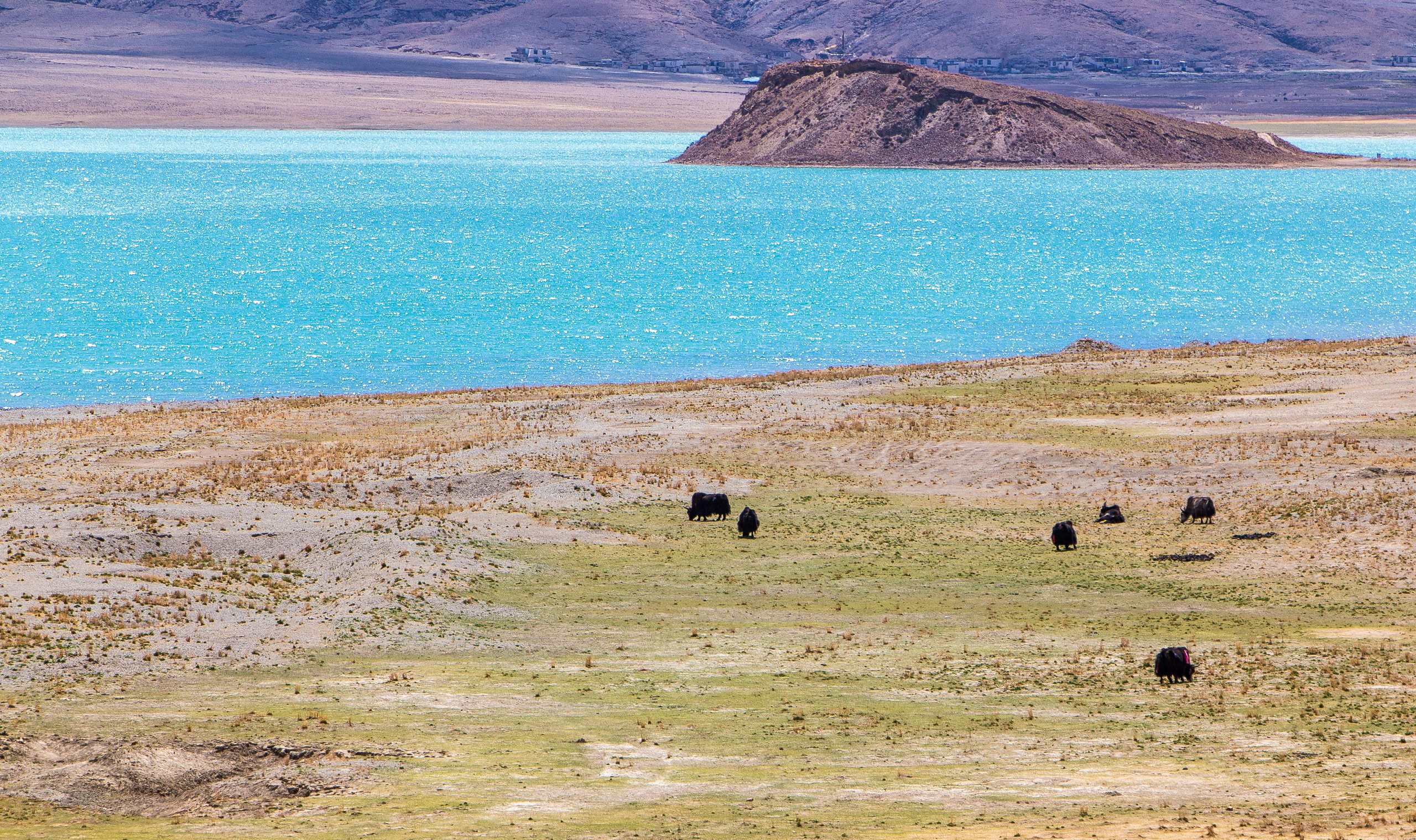 Китай, Тибет, Кора вокруг Кайласа, 2014. Творческие сьемки