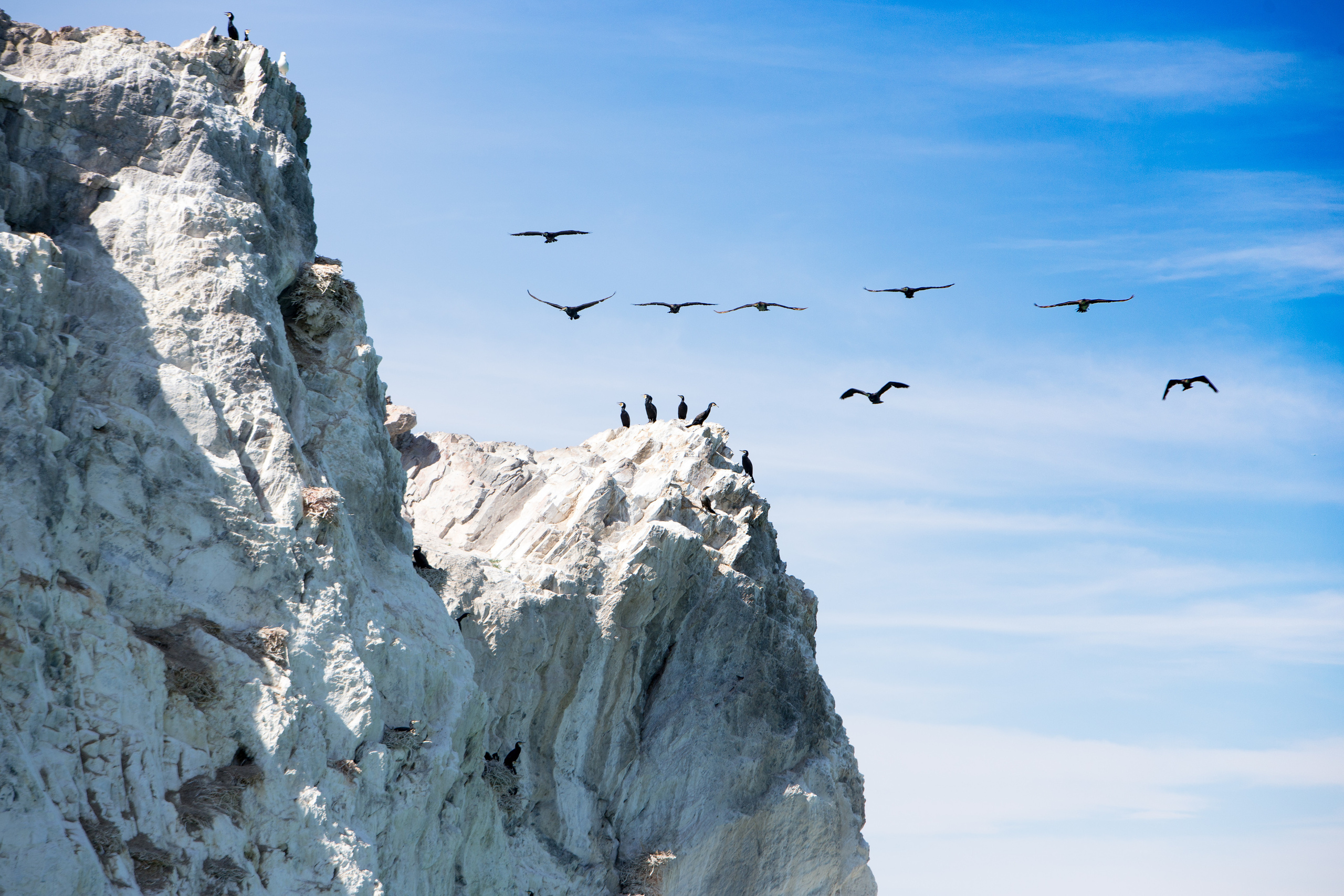 Монголия. Творческие сьемки