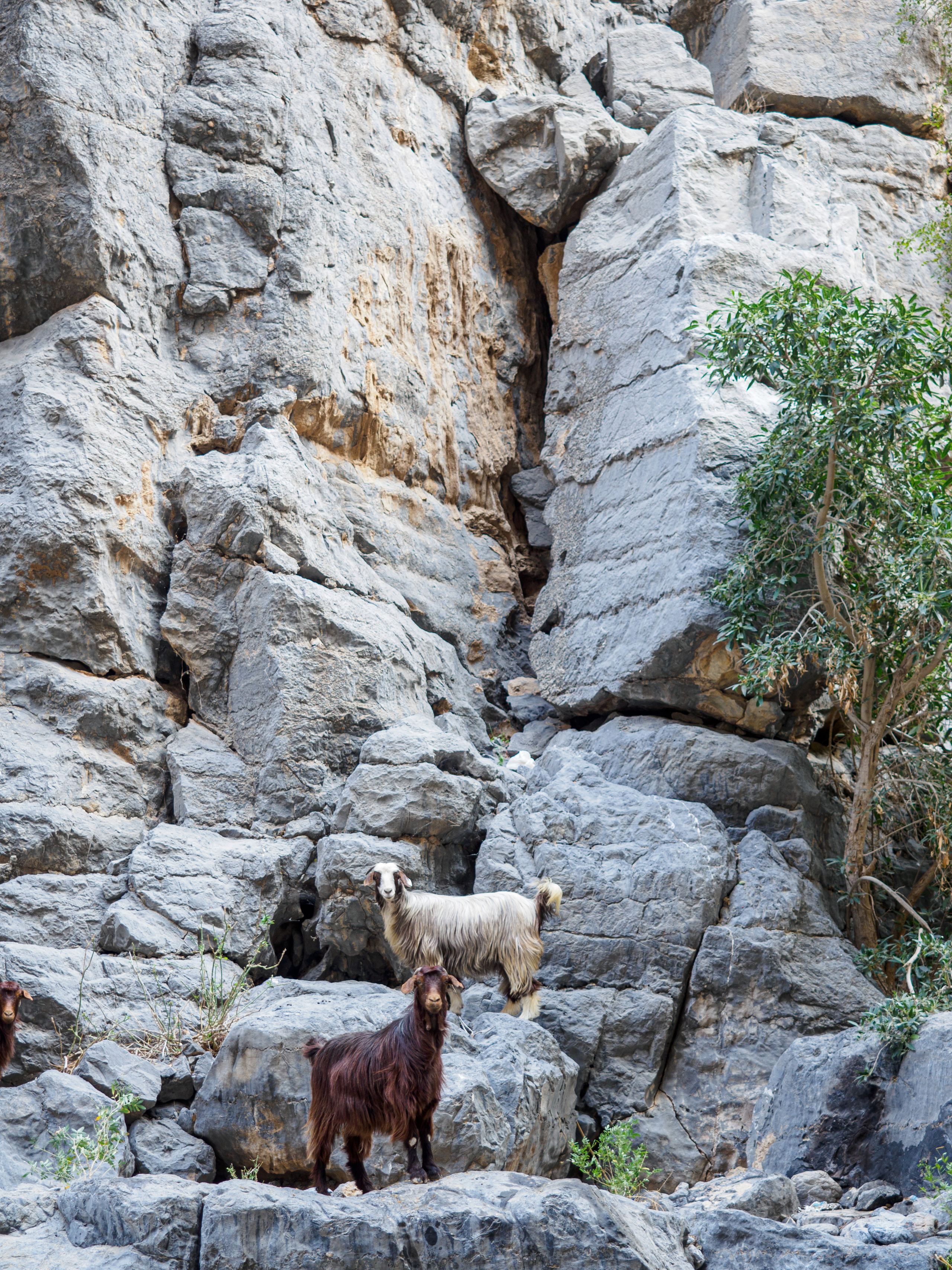 Оман. Творческие сьемки