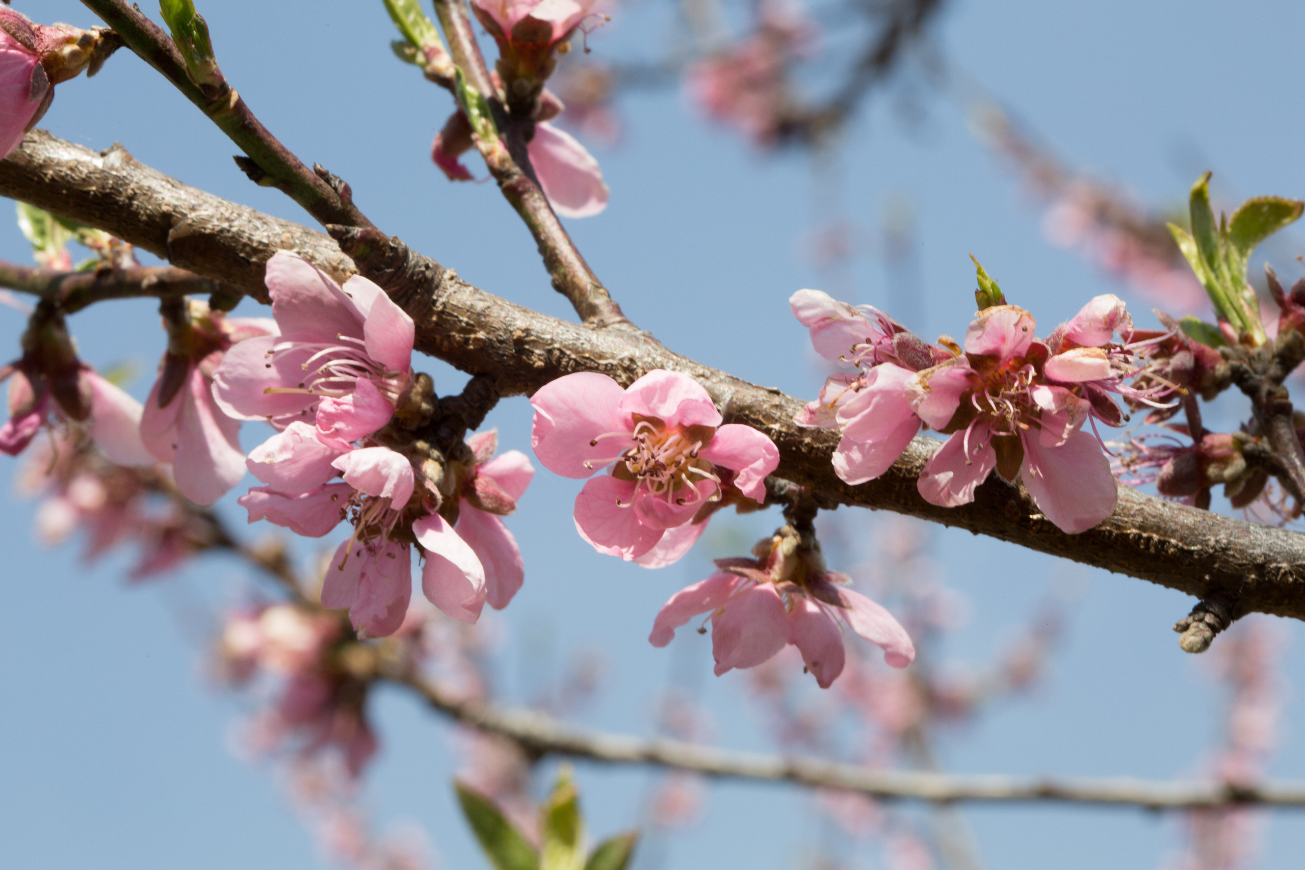Непал. Творческие сьемки
