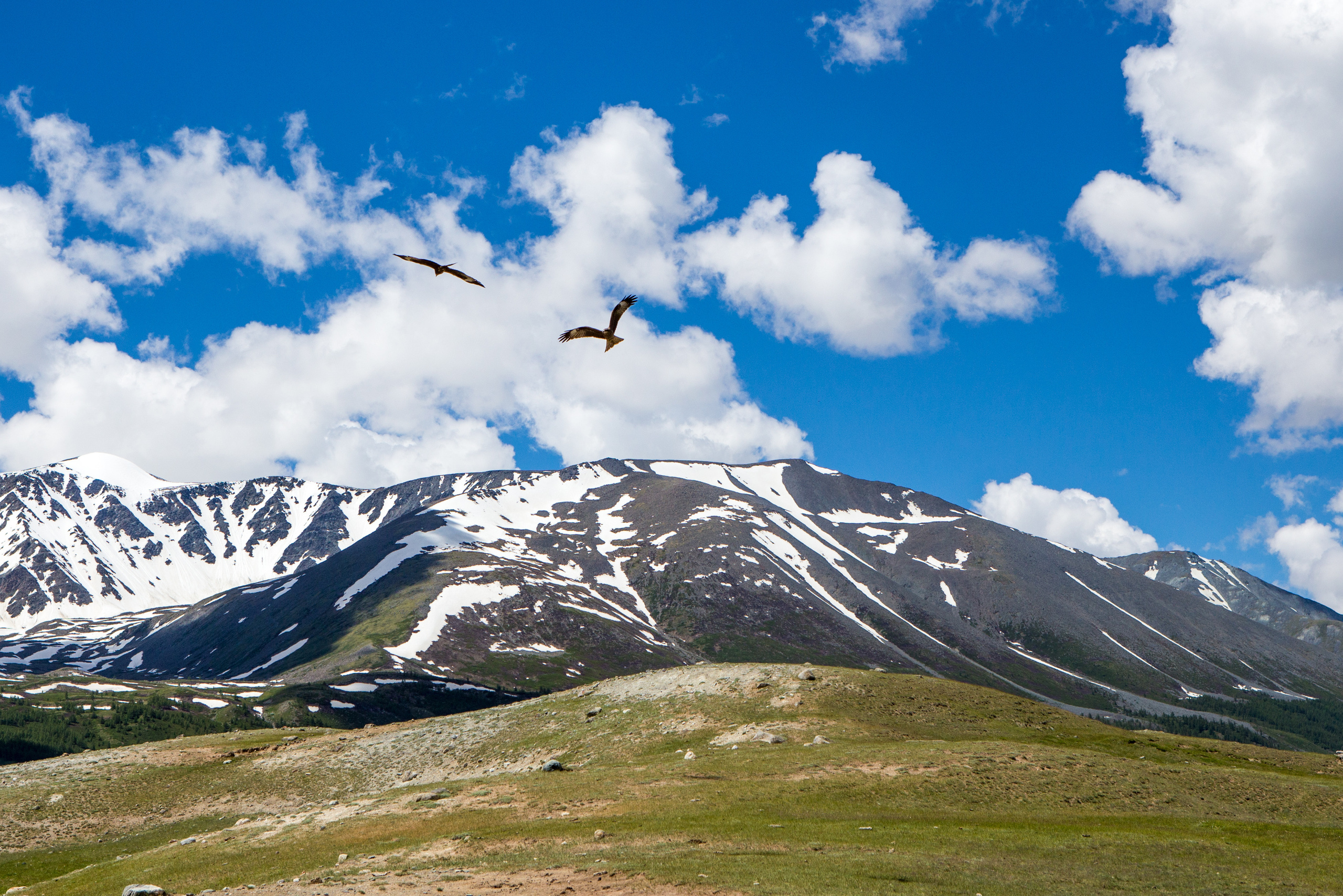 Монголия. Творческие сьемки