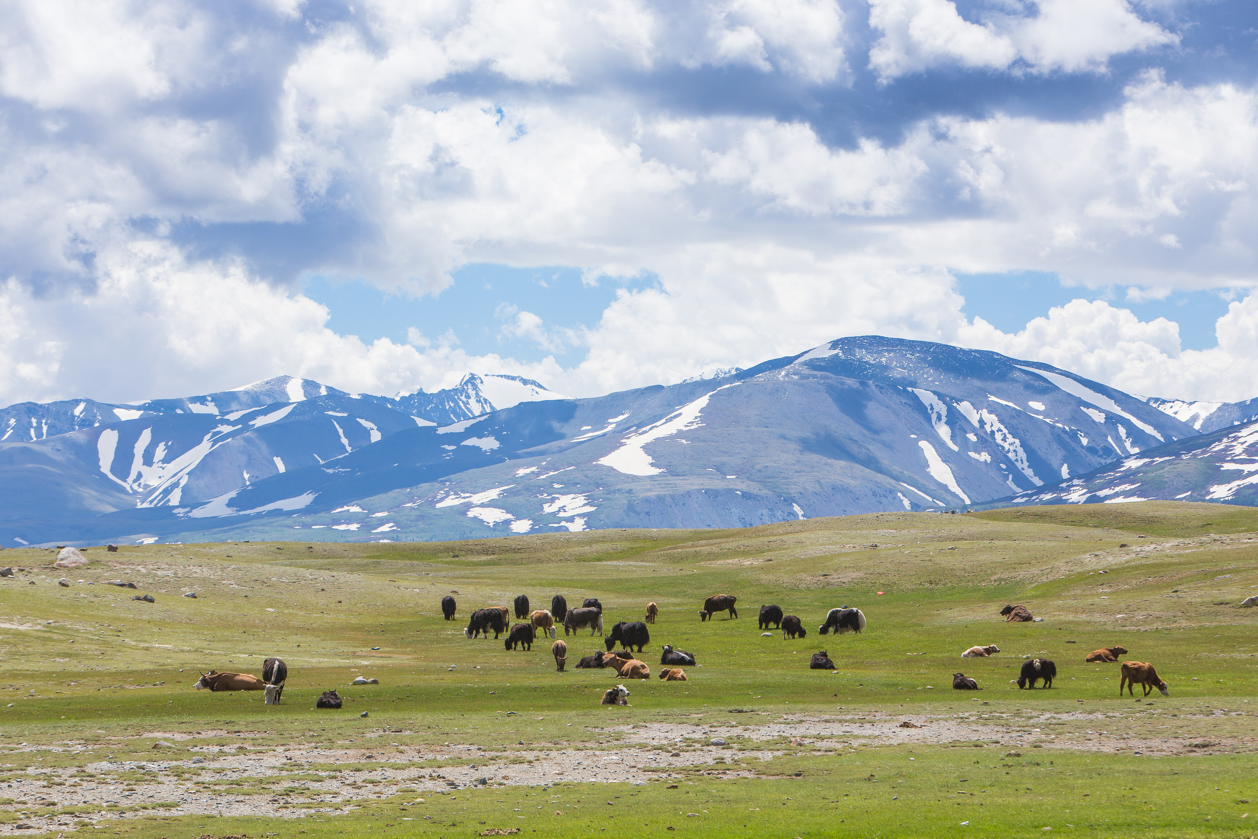 Монголия. Творческие сьемки