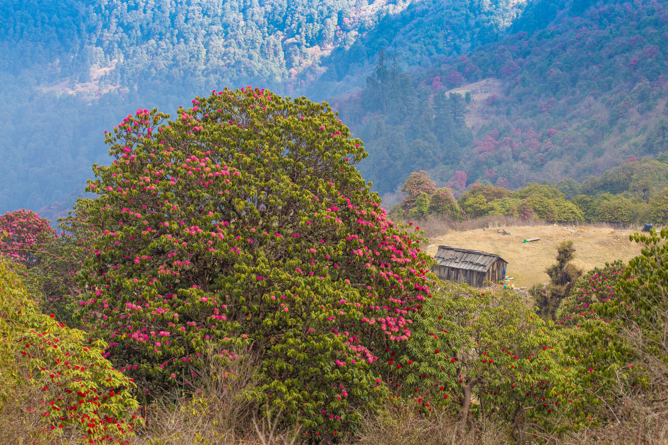 Непал. Творческие сьемки