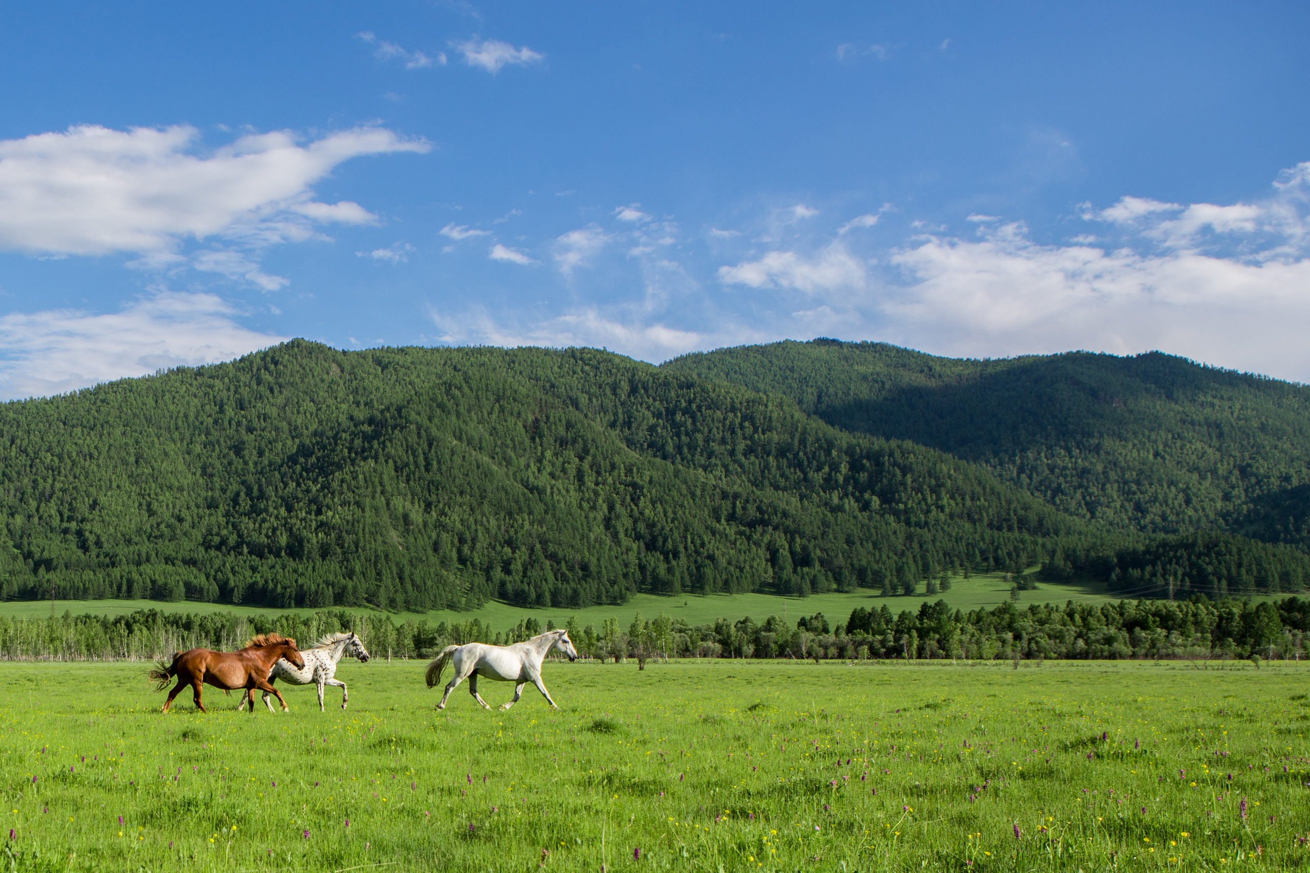 Алтай. Творческие сьемки