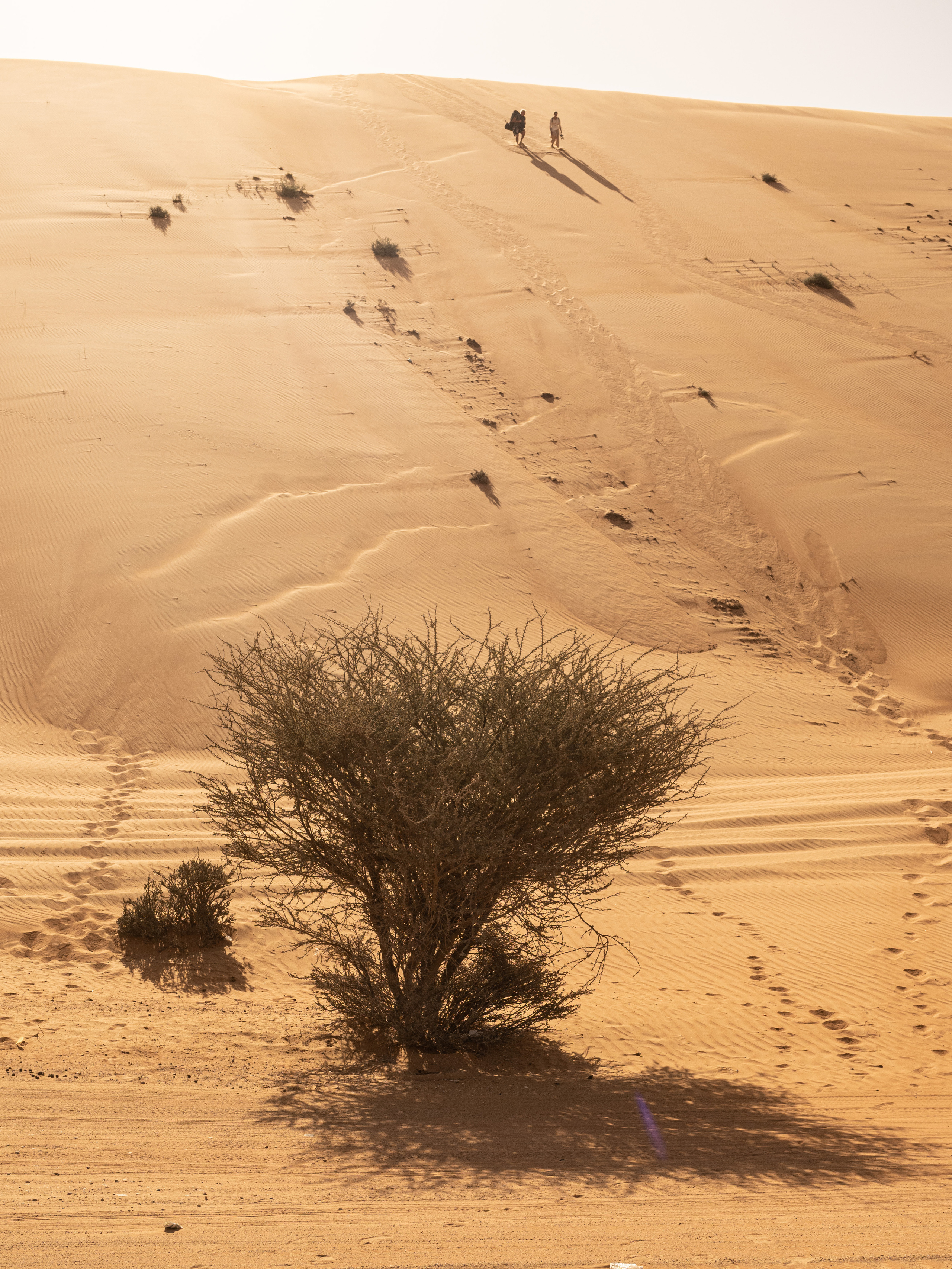 Оман. Творческие сьемки
