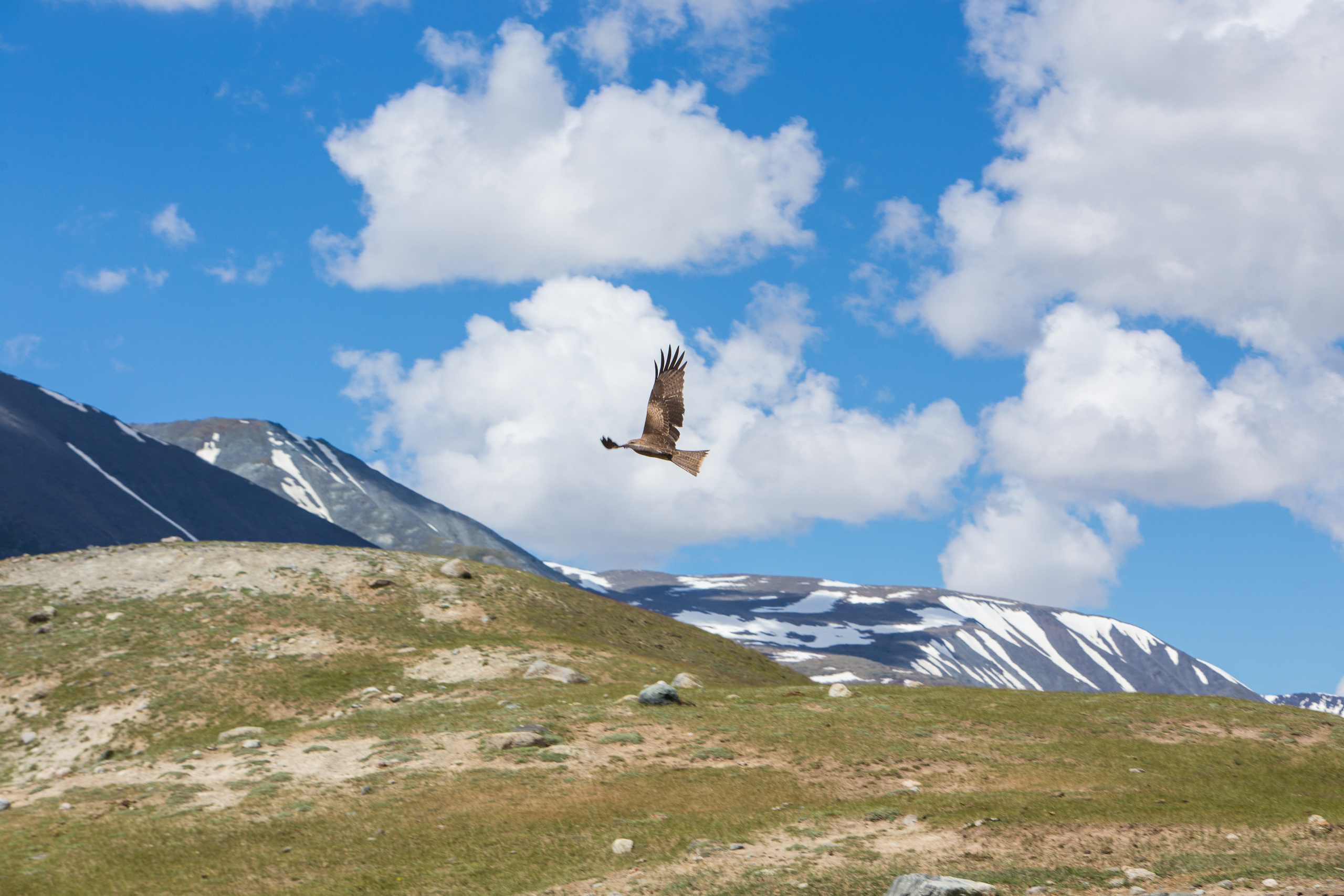 Монголия. Творческие сьемки