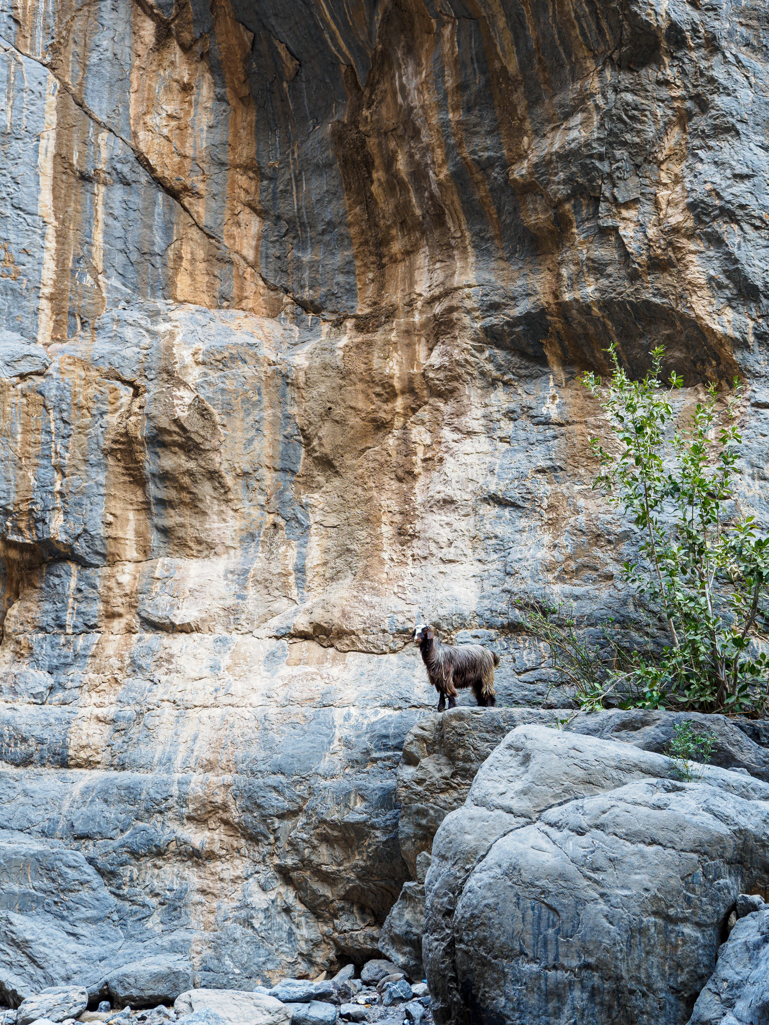 Оман. Творческие сьемки