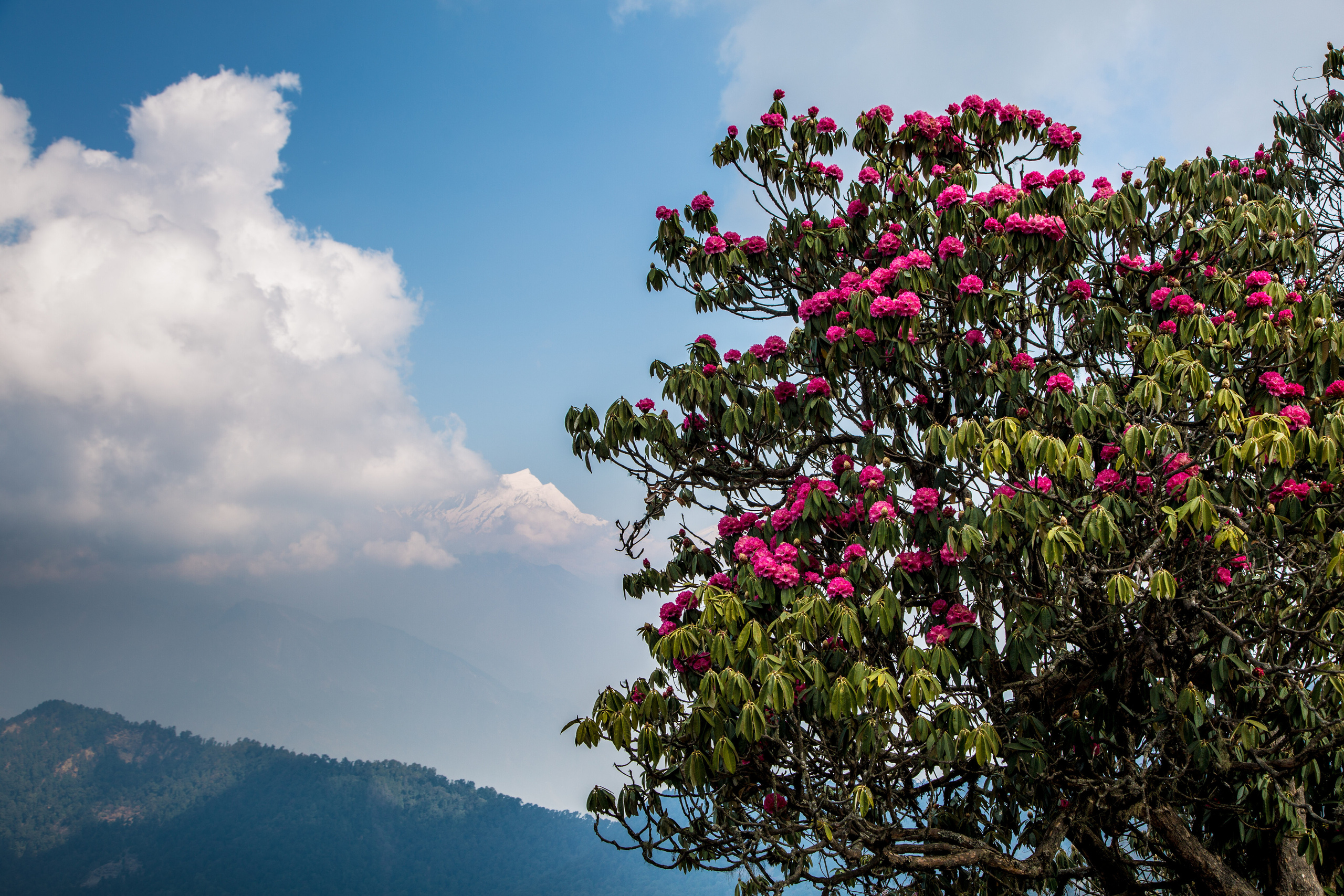 Непал. Творческие сьемки