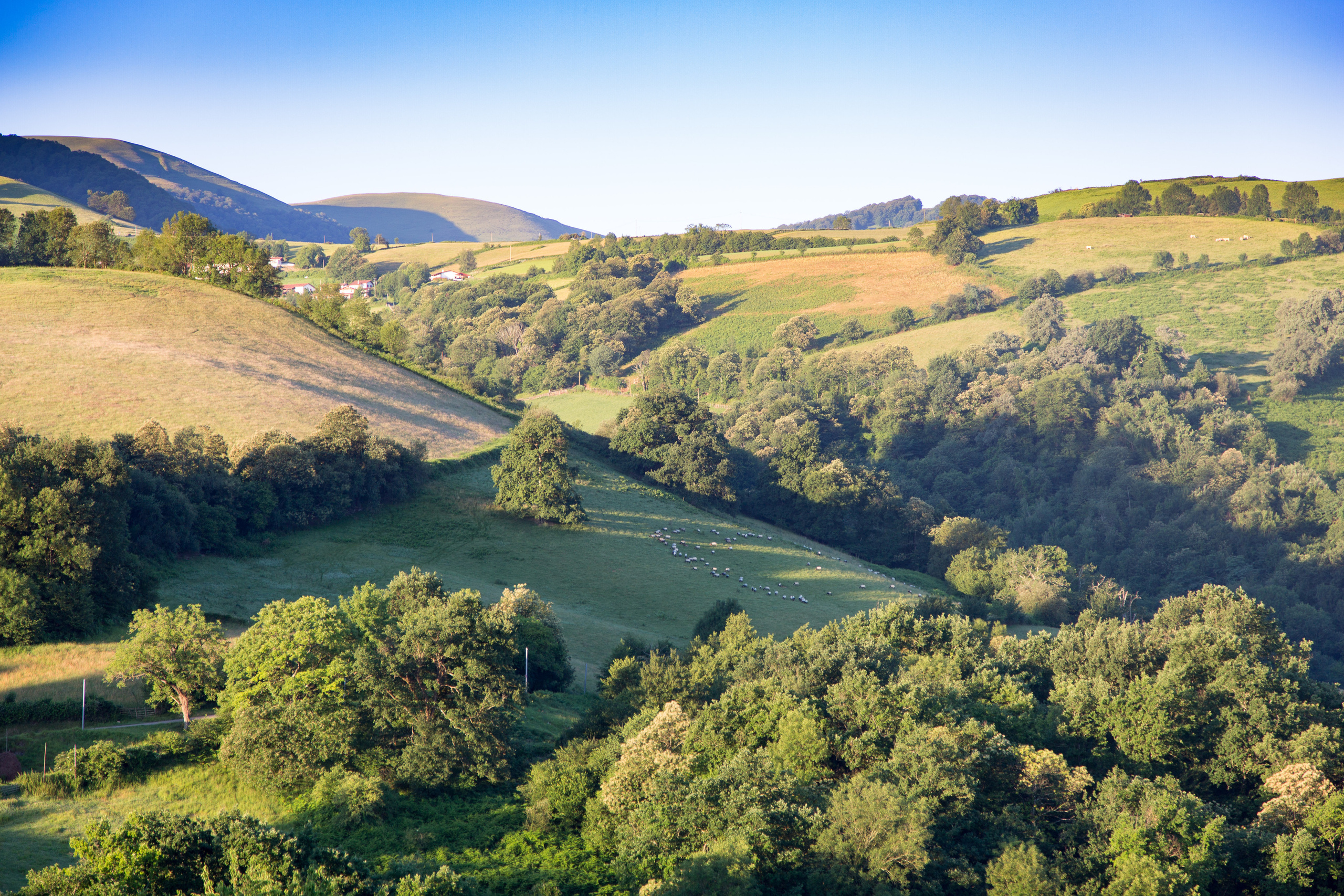 Испания, 2017, Путь Сантьяго из Сен-Жан-Пье-де-По. Творческие сьемки