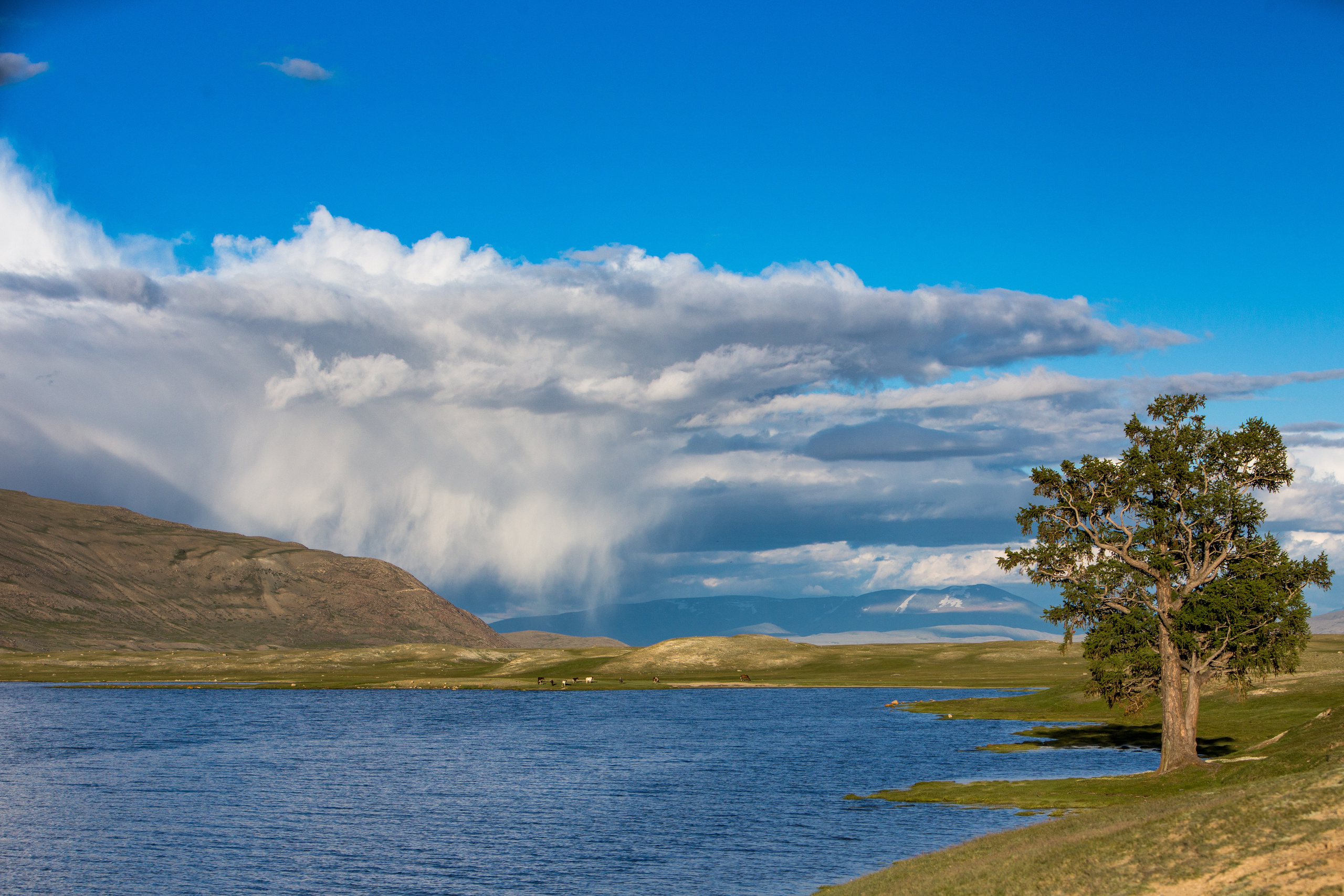 Монголия. Творческие сьемки