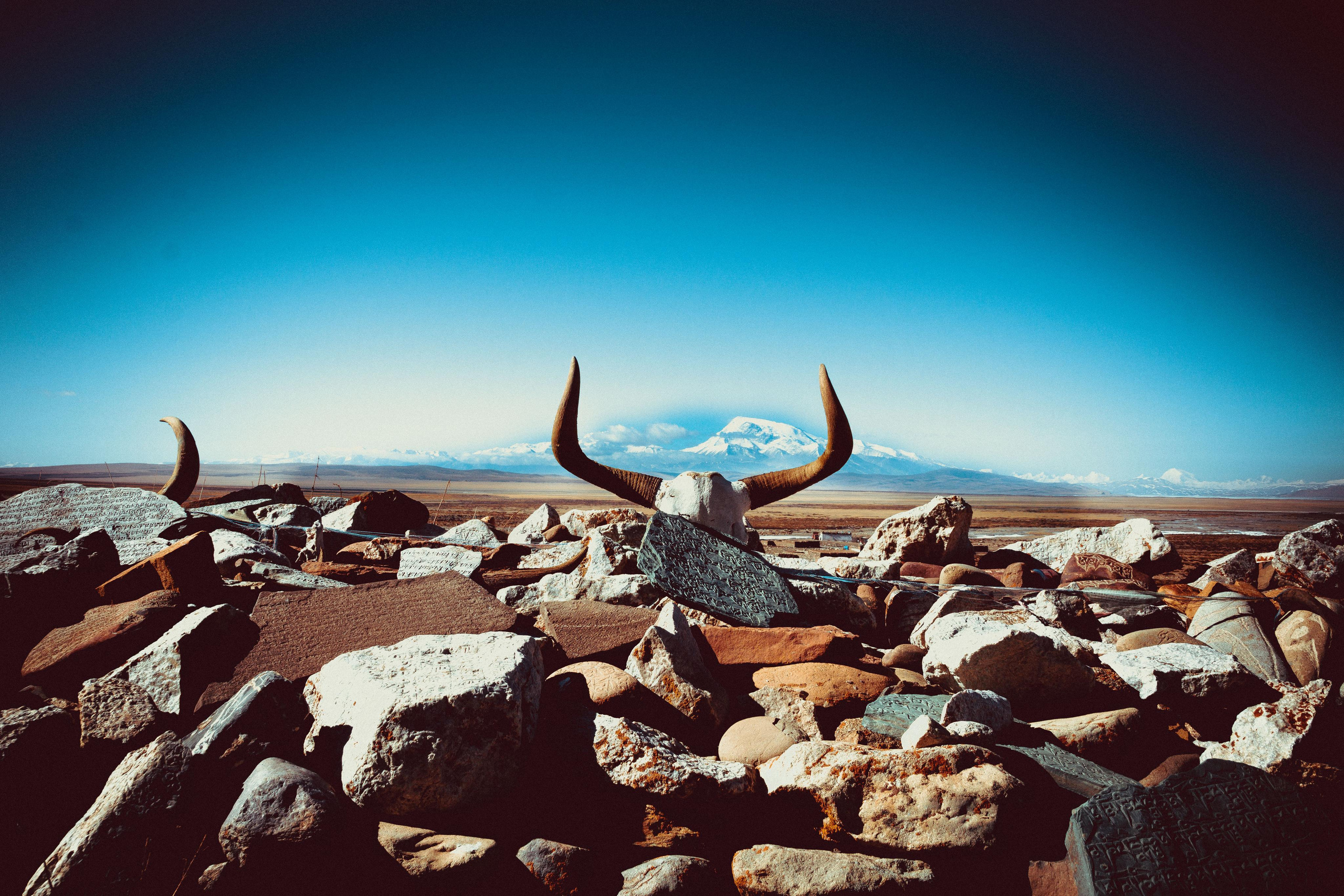 Китай, Тибет, Кора вокруг Кайласа, 2014. Творческие сьемки